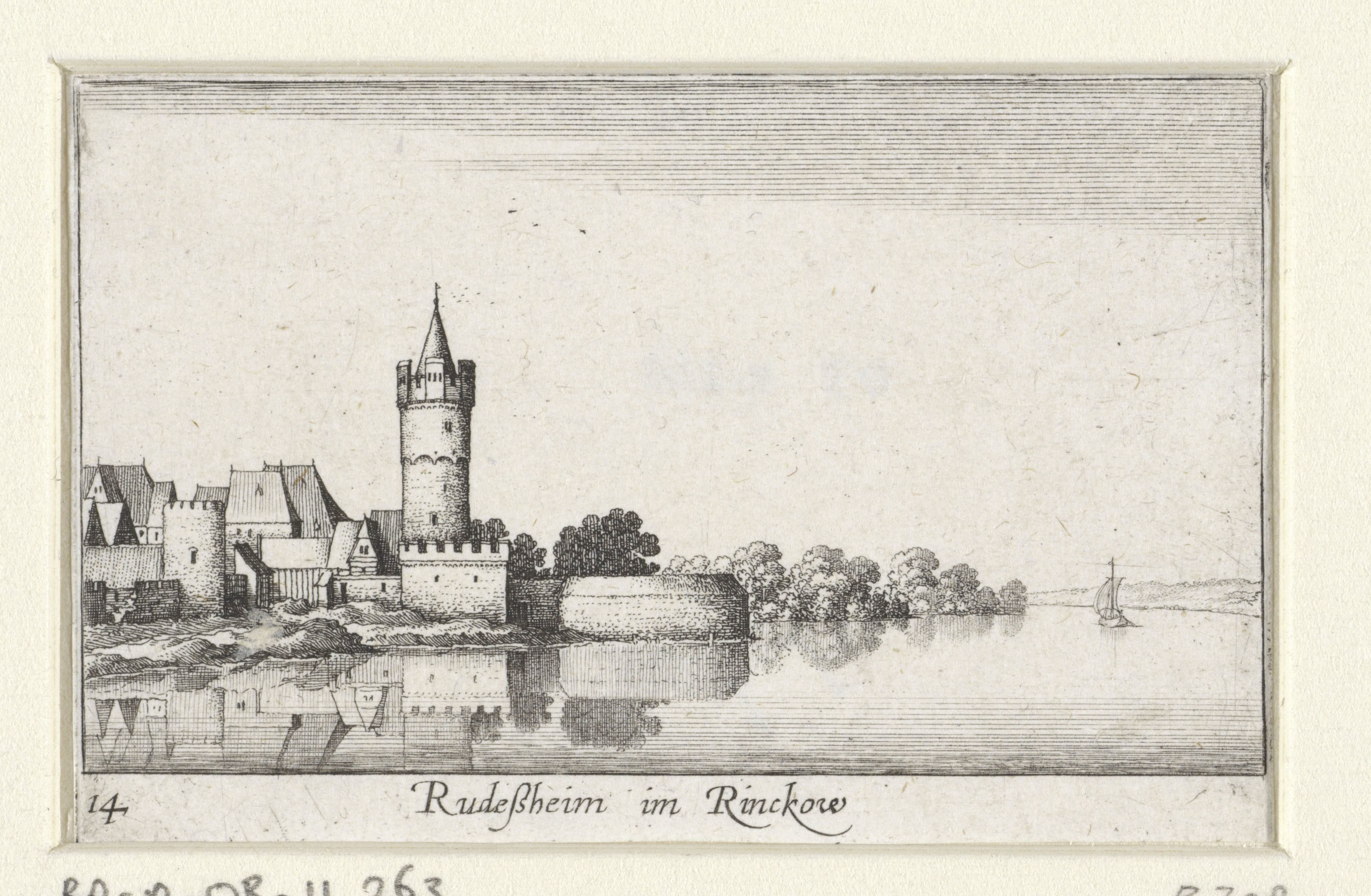 Gezicht op Rüdesheim