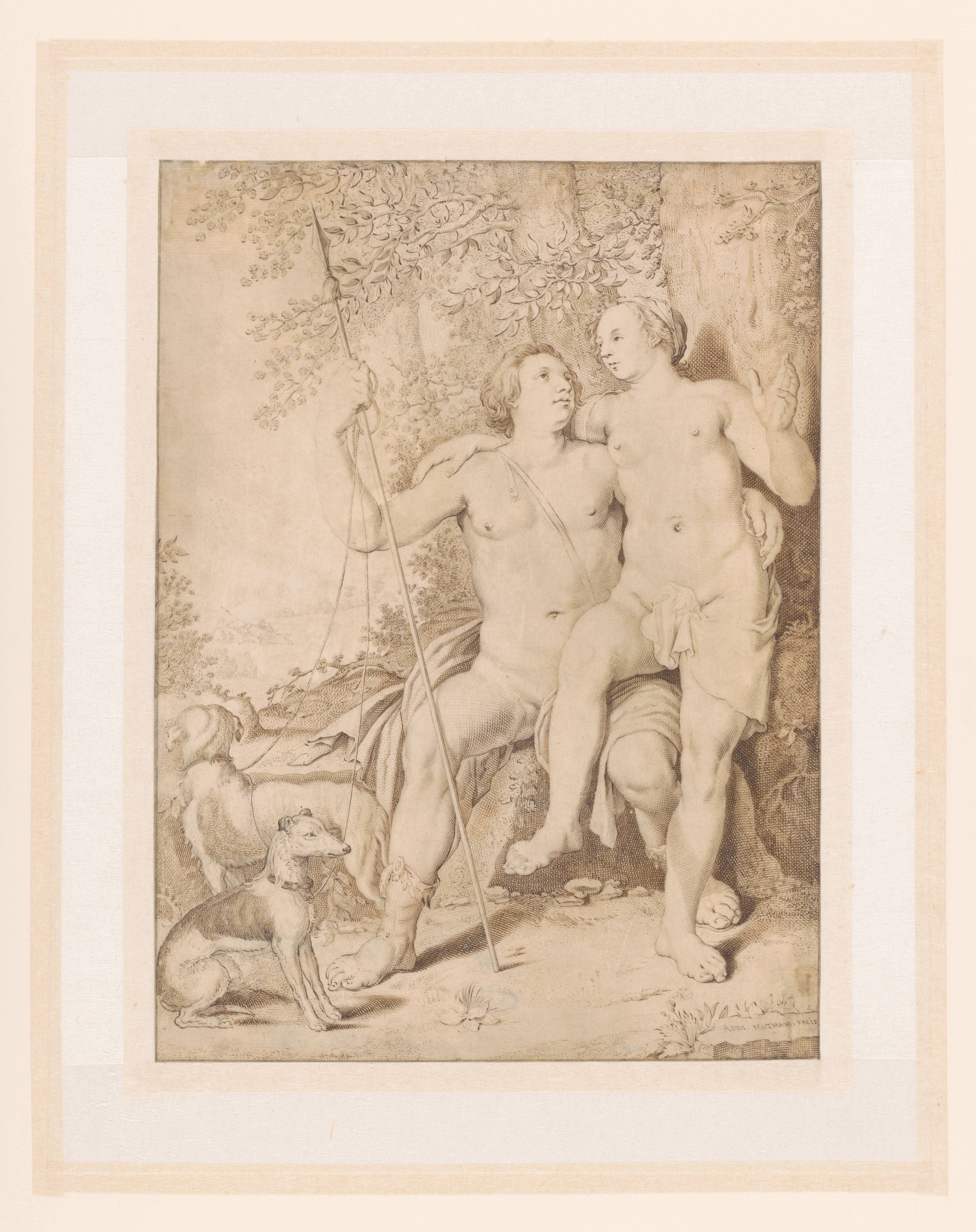 Venus and Adonis