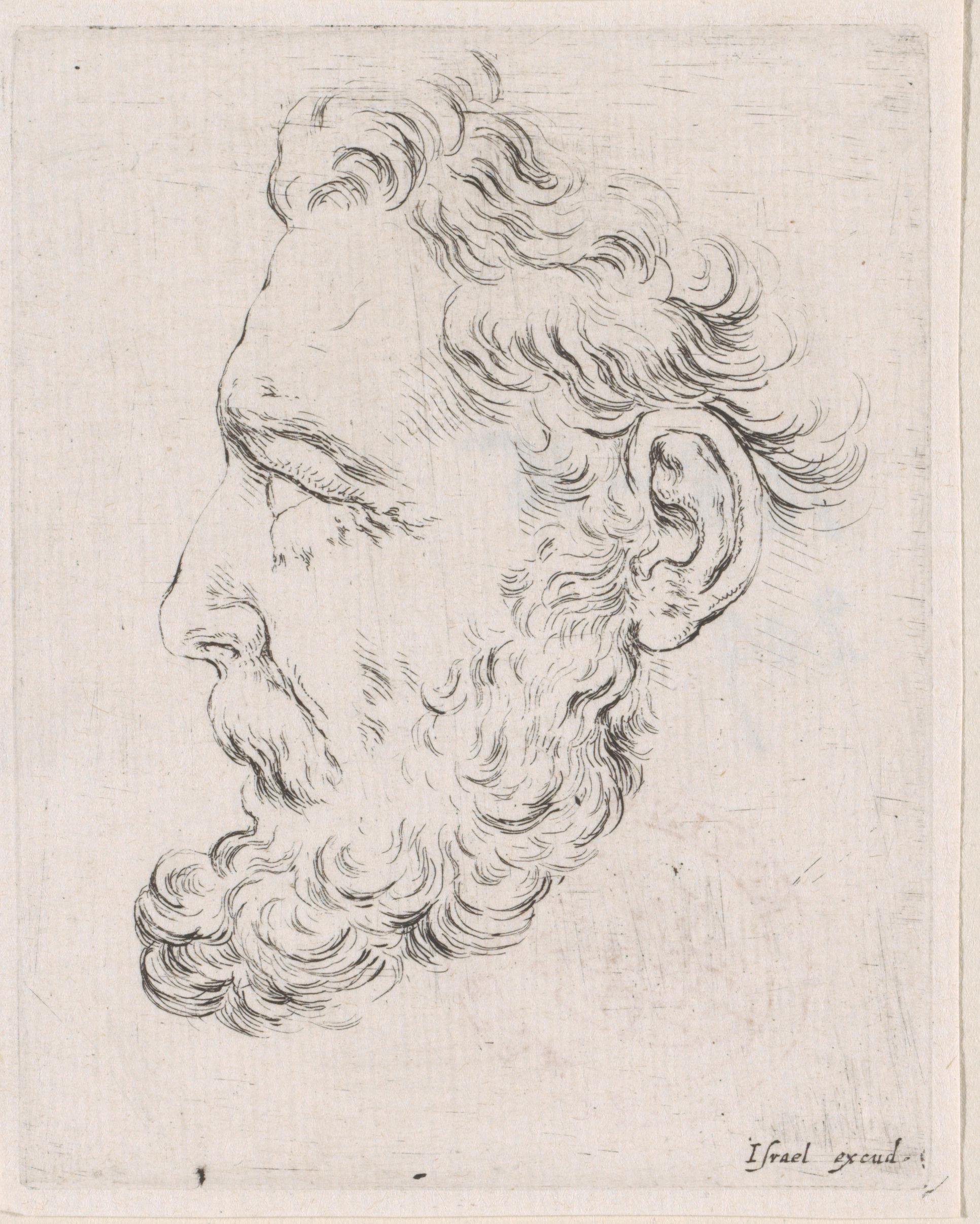 Gezicht van een oude man met baard, in profiel naar links