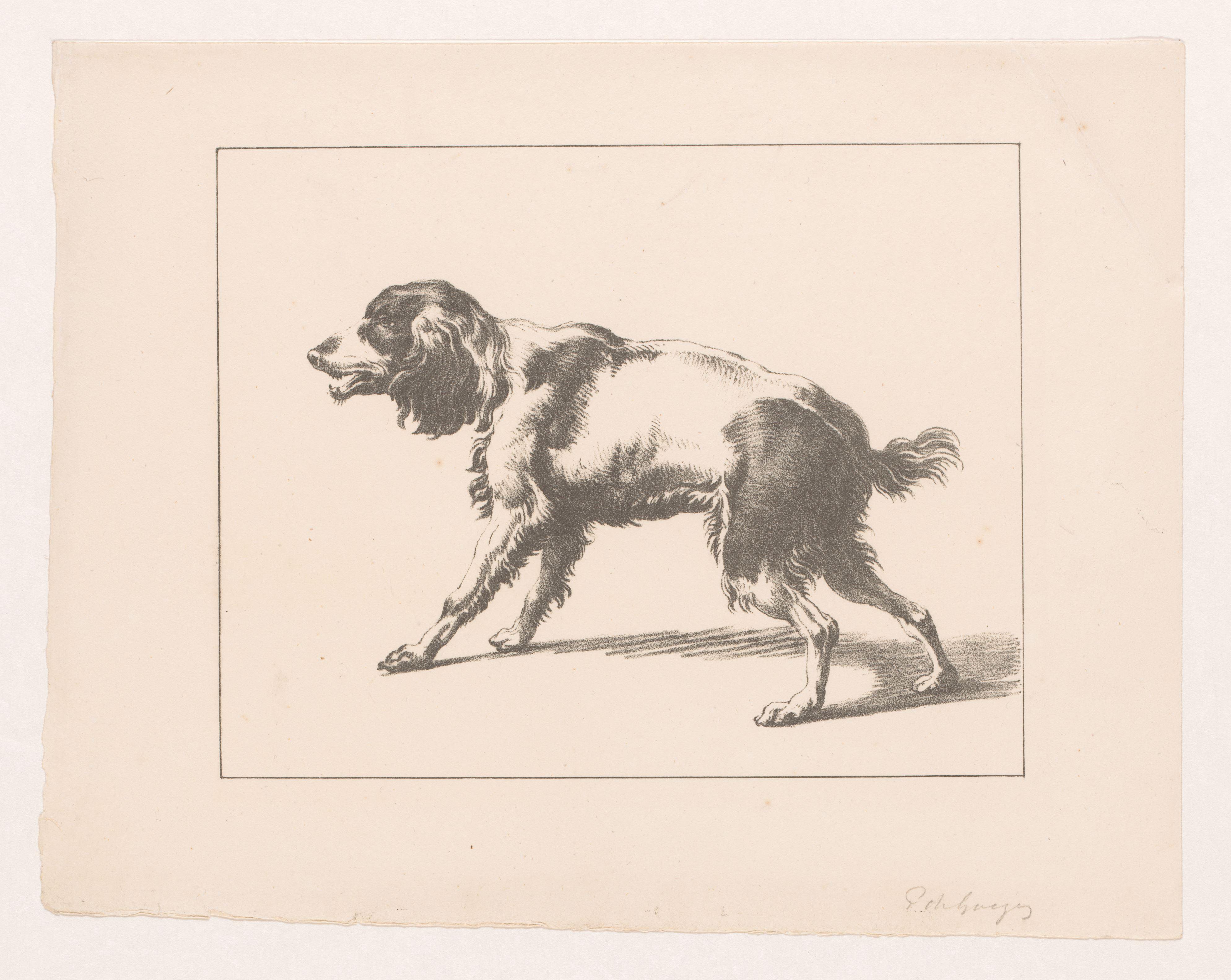 Staande hond