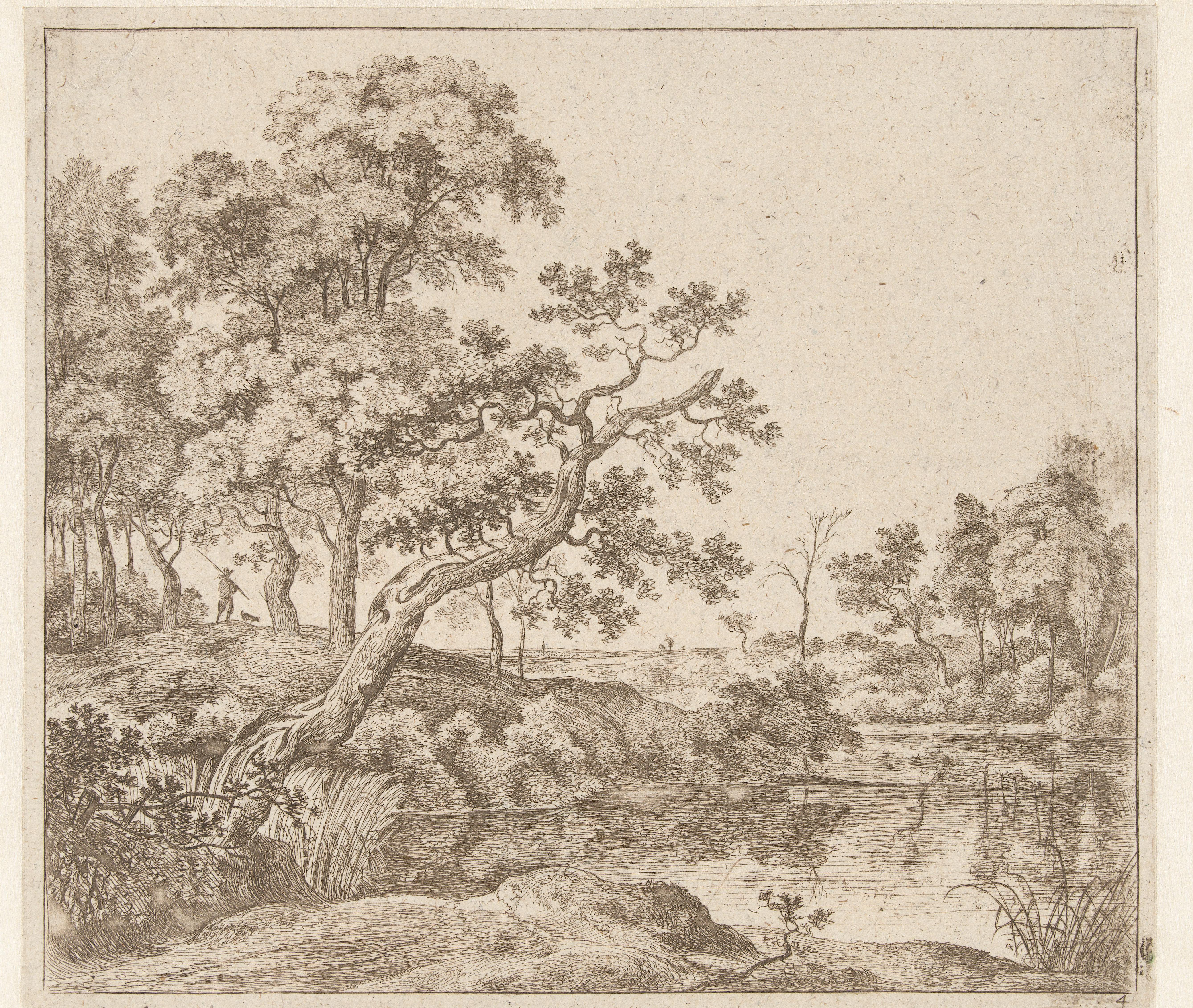 Landschap met een hangende boom aan het water