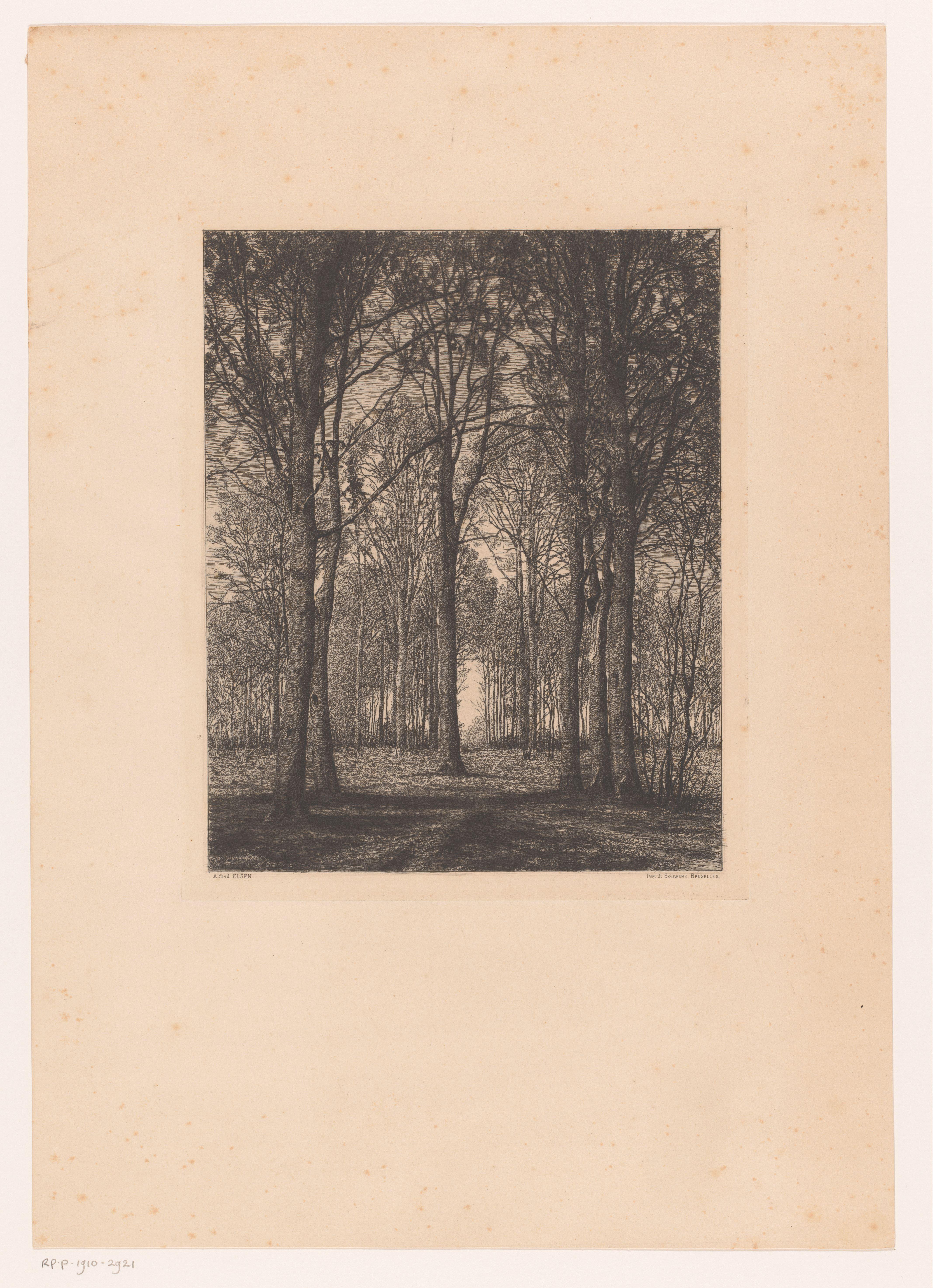 Landschap met bomen