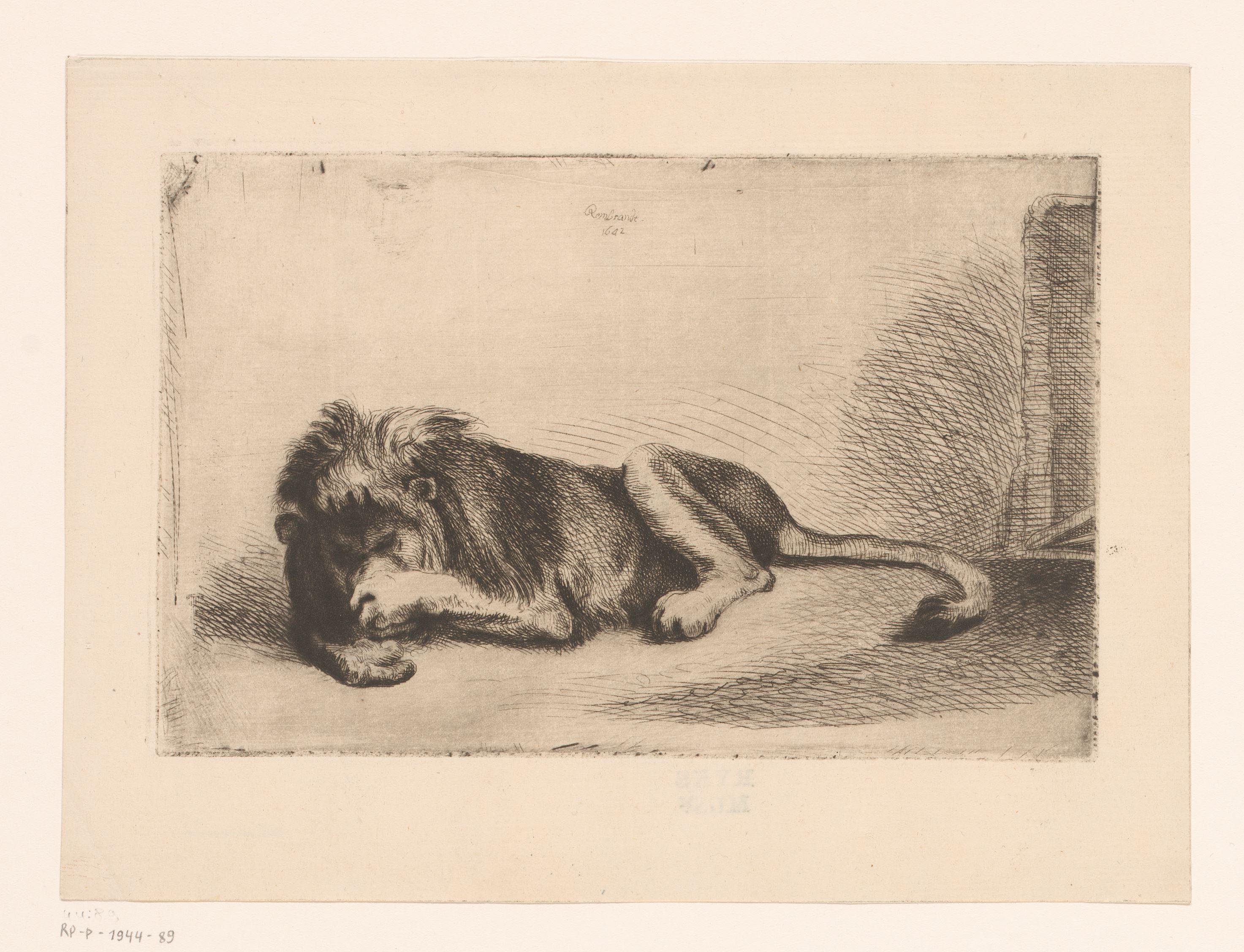 Slapende leeuw