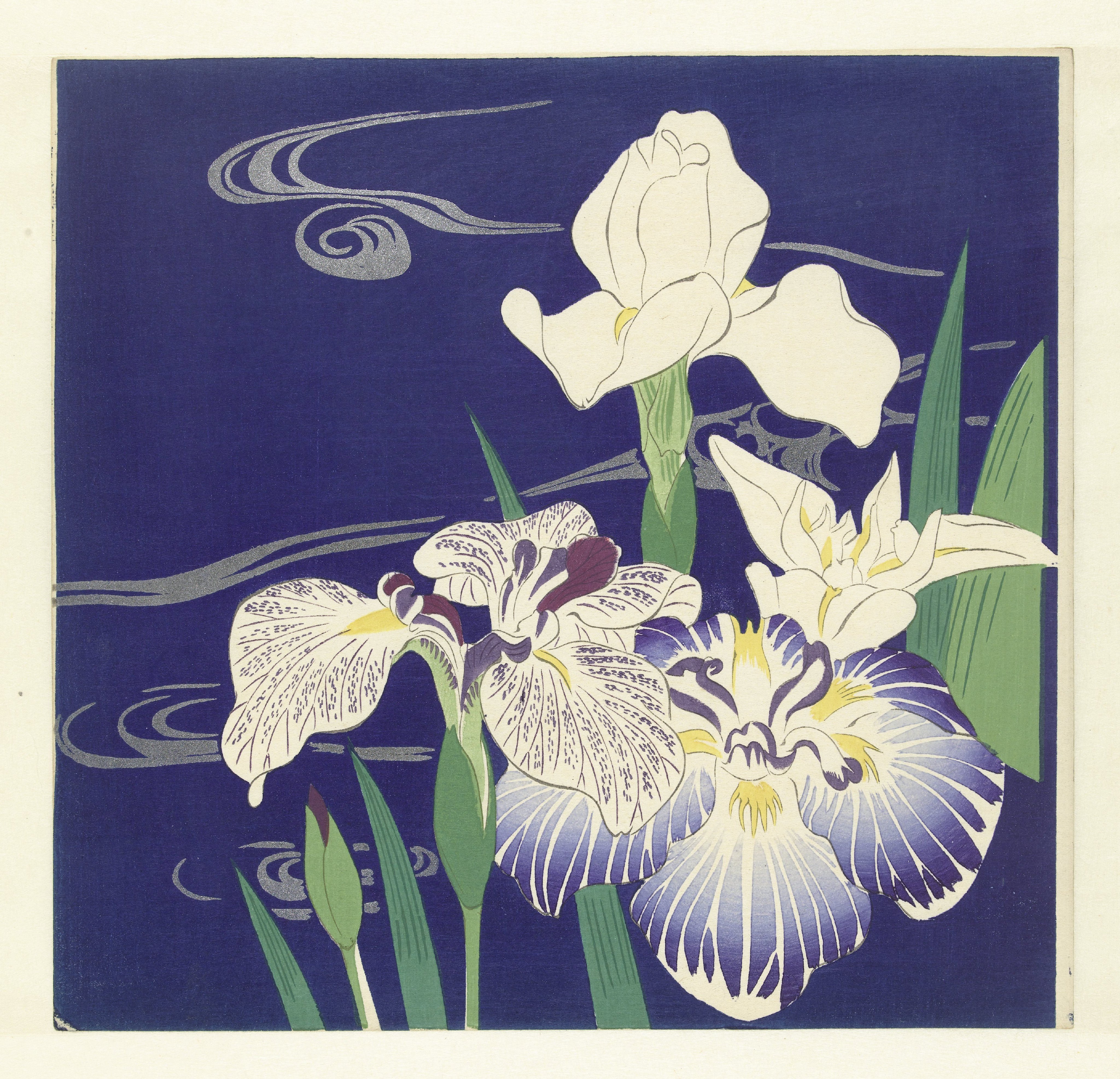 Irises