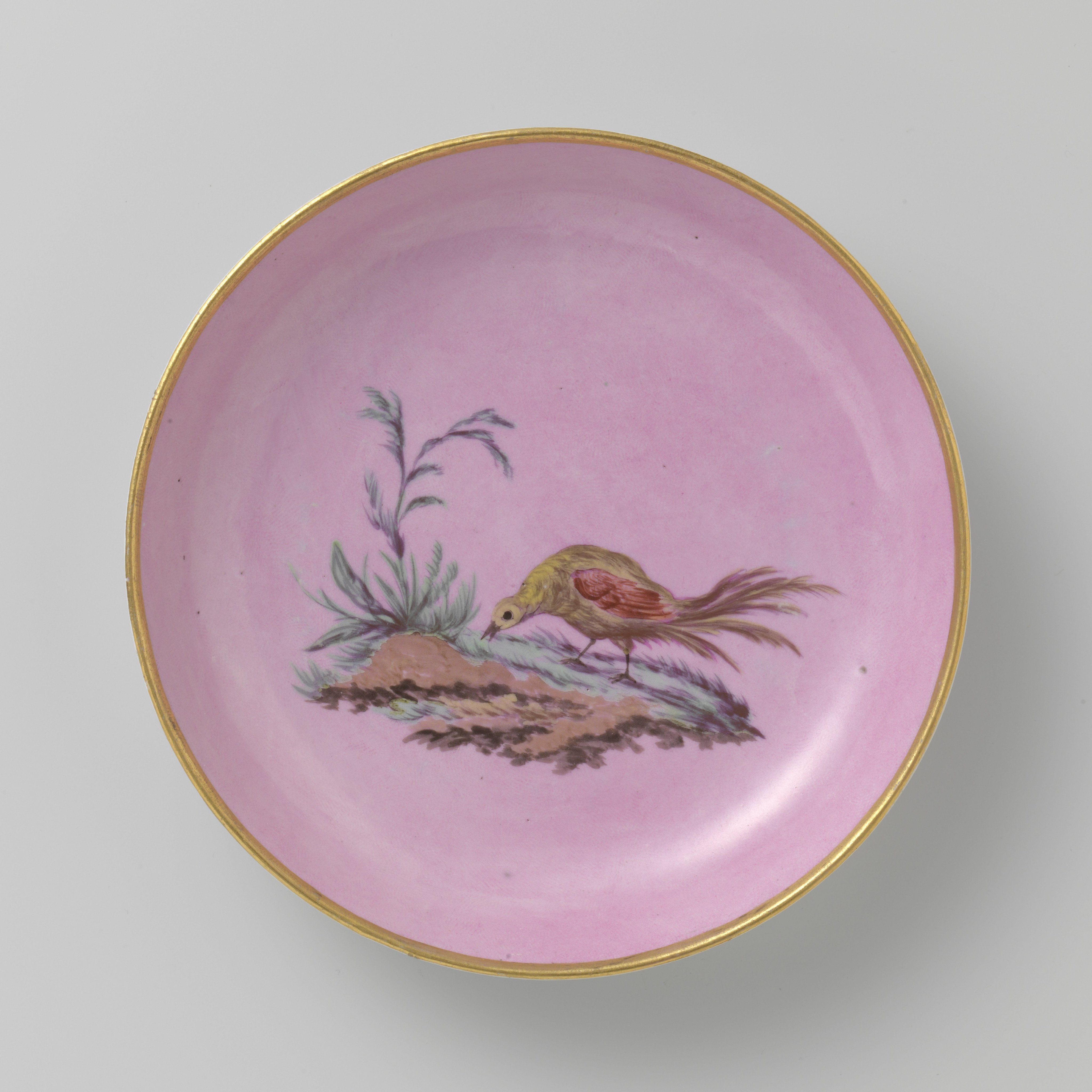 Dish