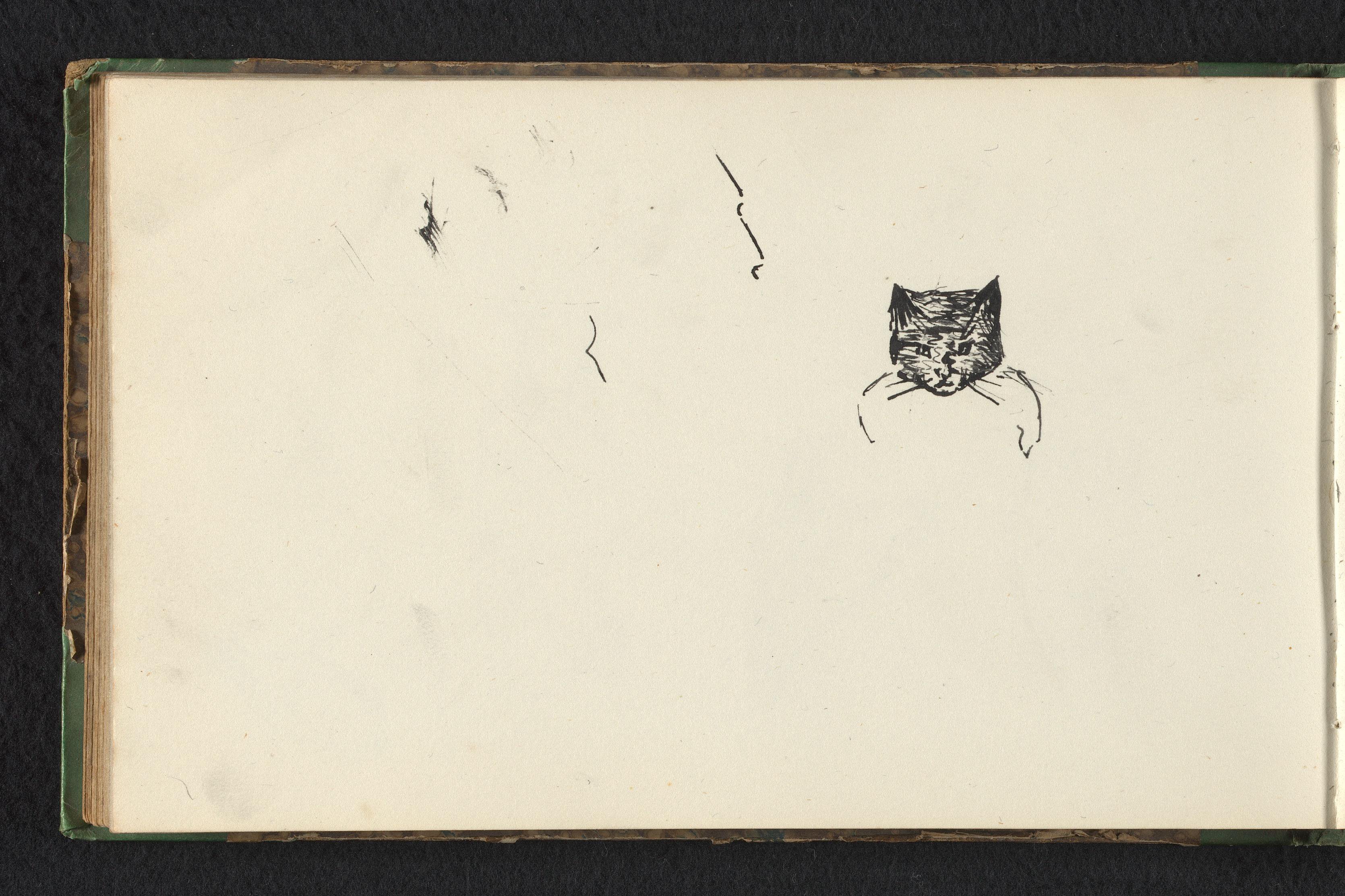 Kattenkop