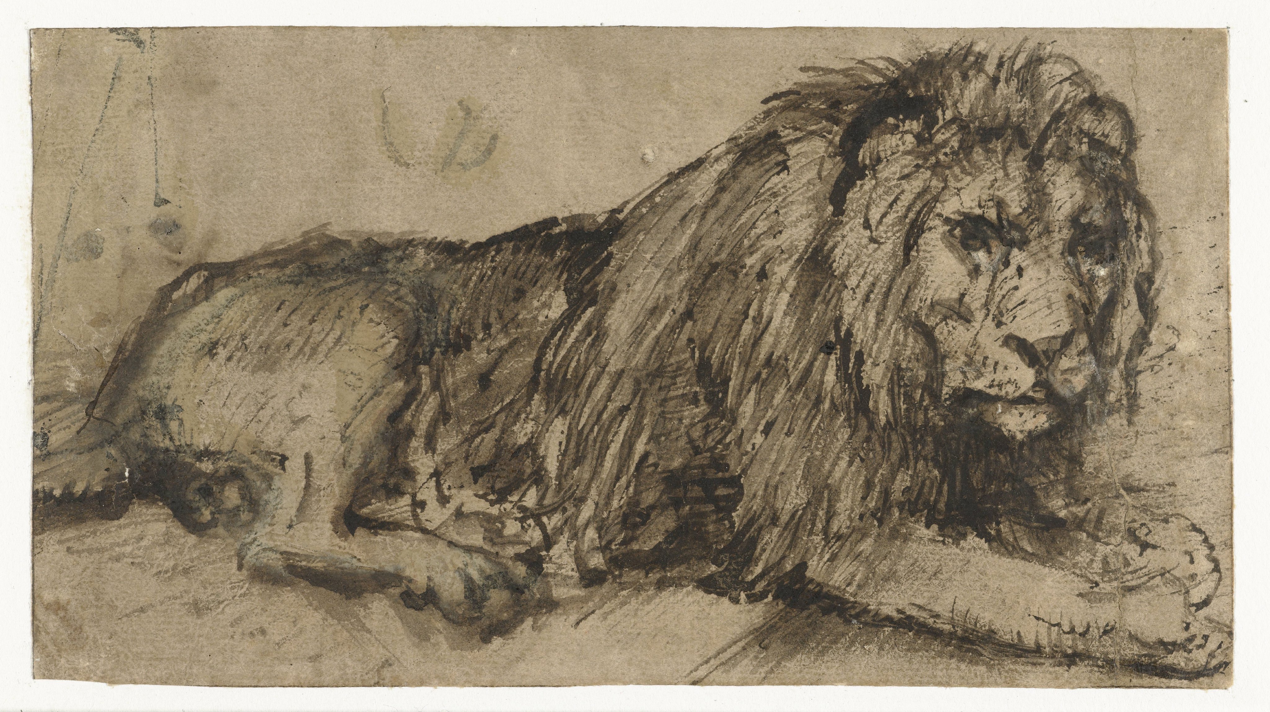 Reclining Lion