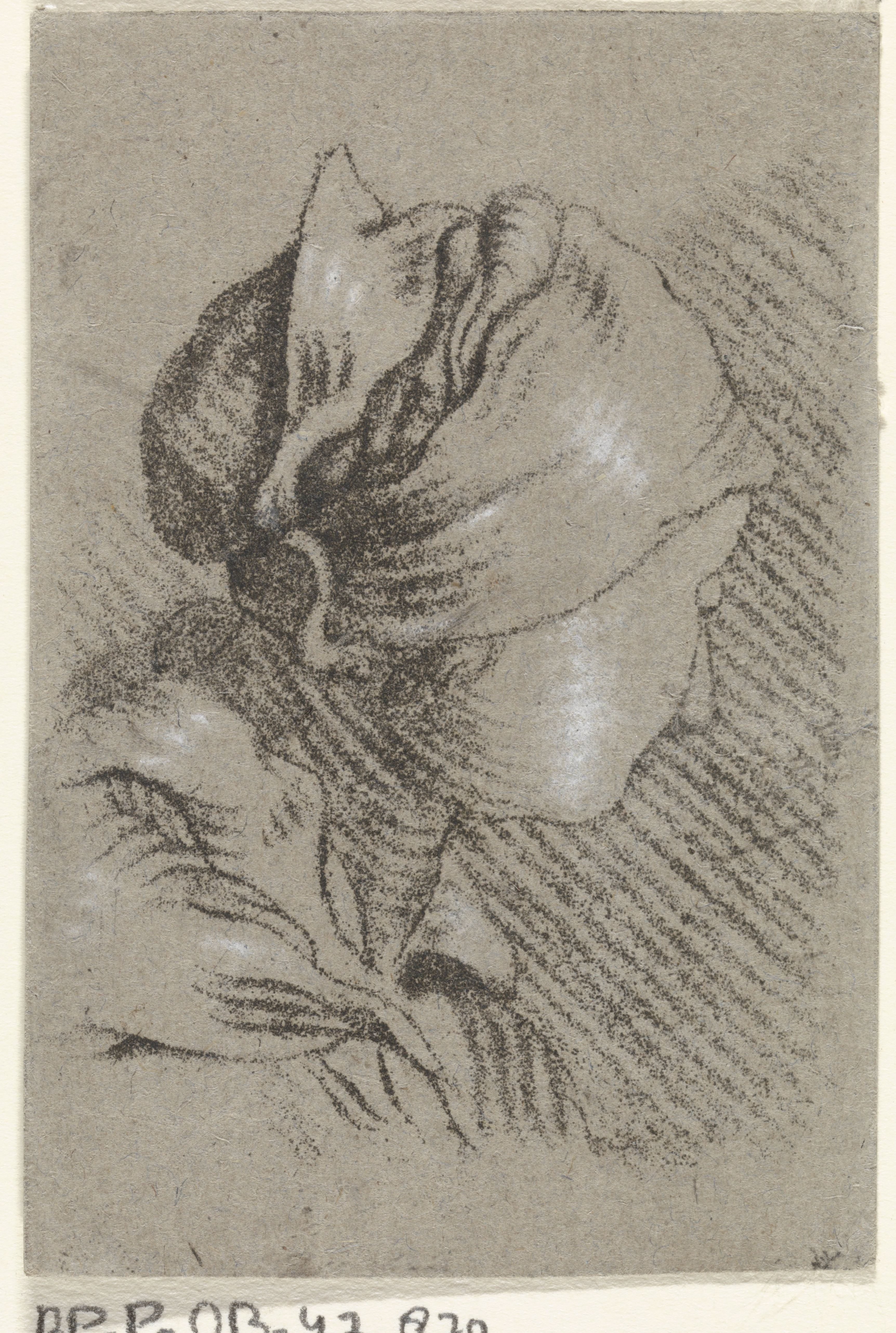 Vrouwenbuste