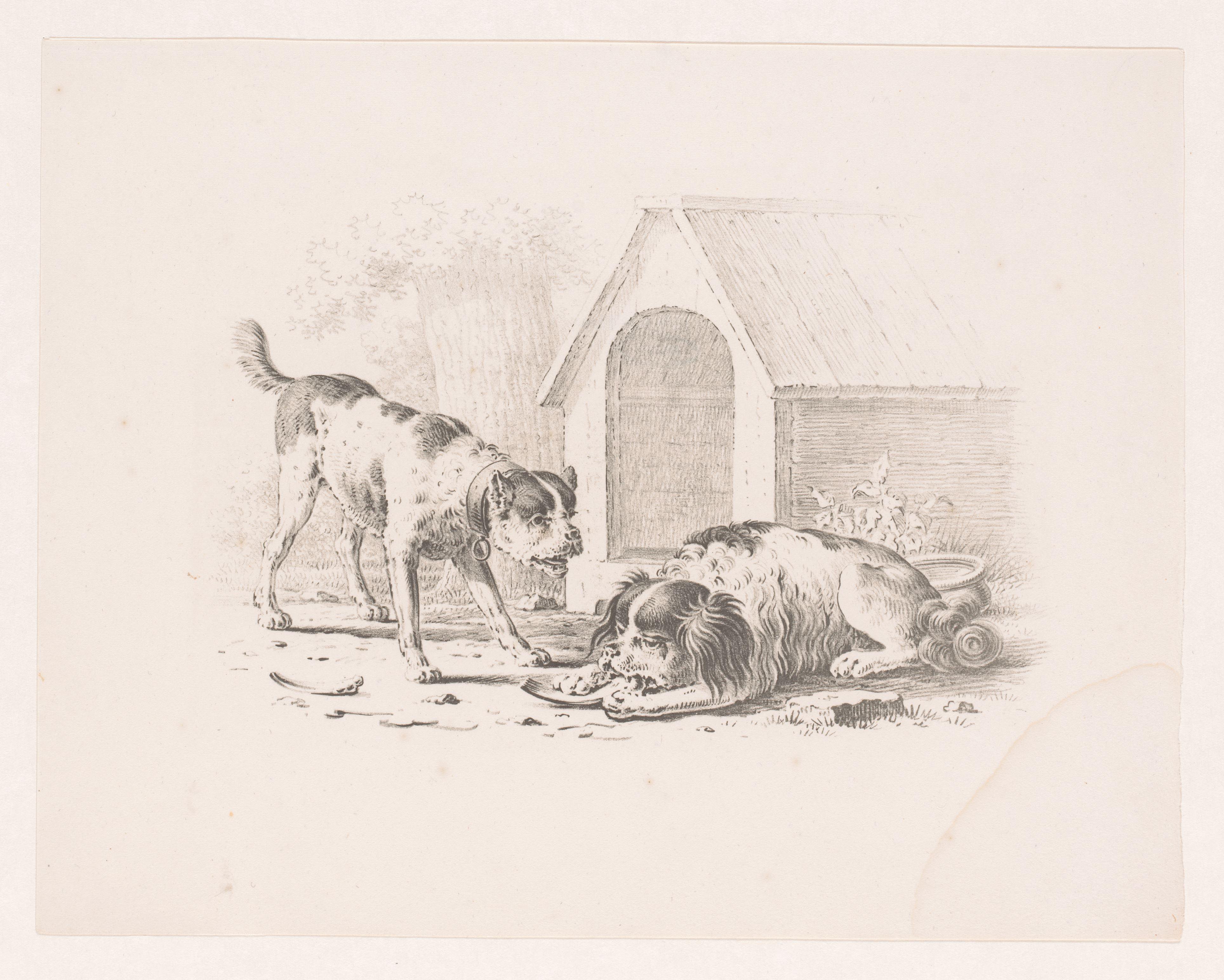 Twee honden bij een hondenhok