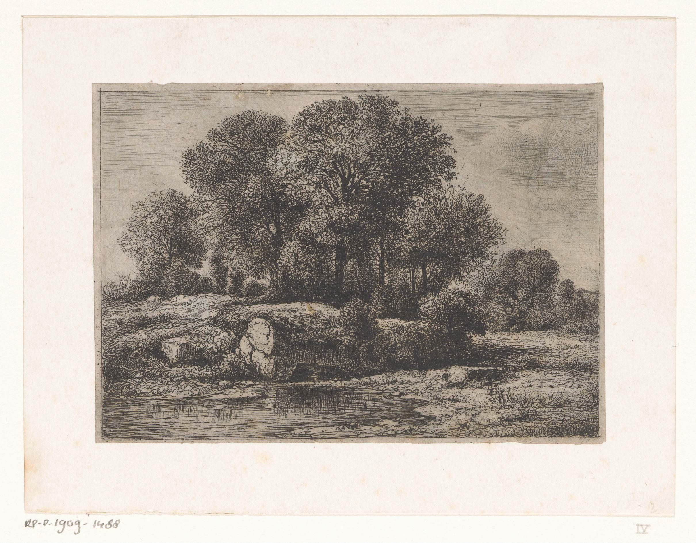 Bomen bij een poel