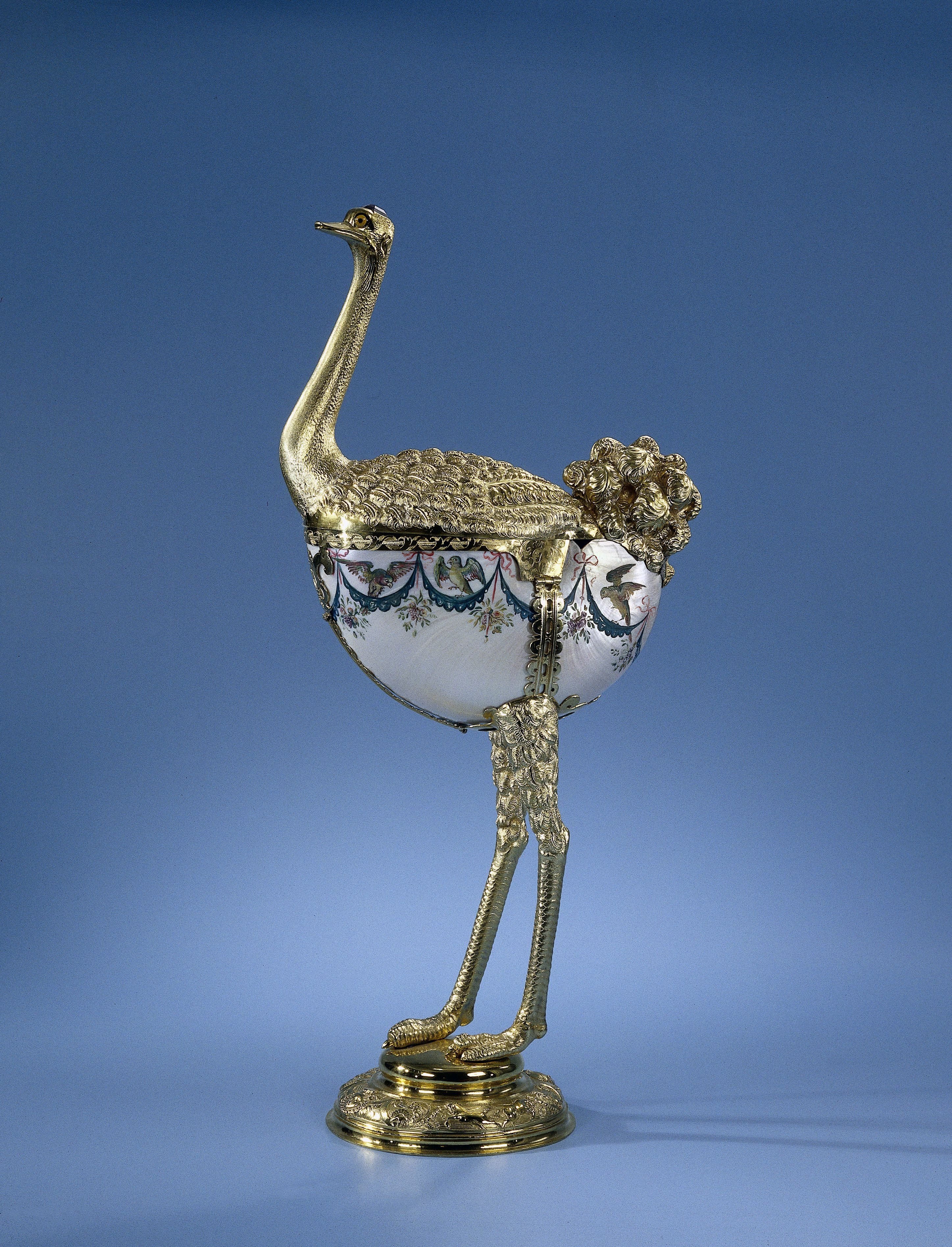 Nautilus cup
