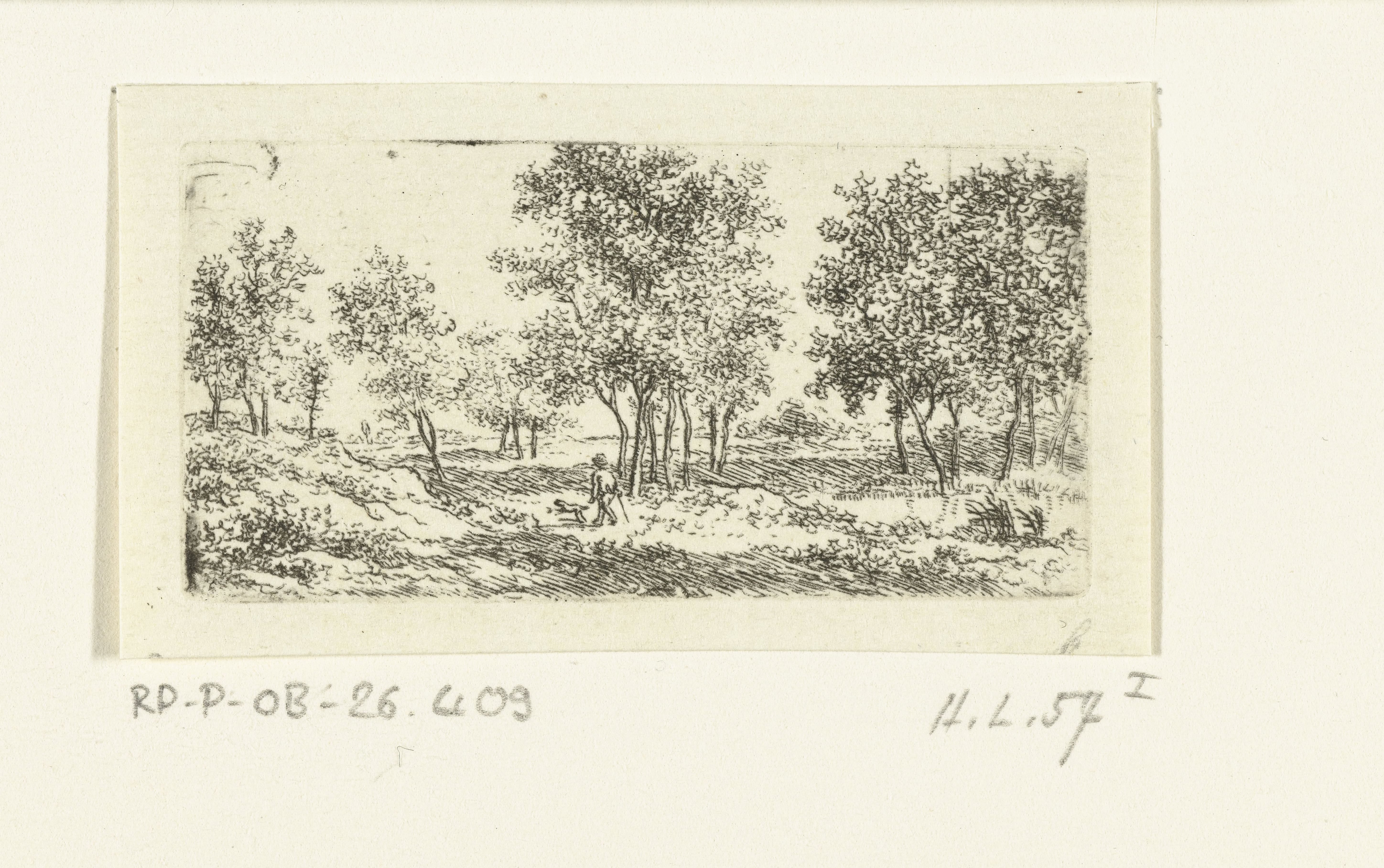 Landschap met wandelaar en hond