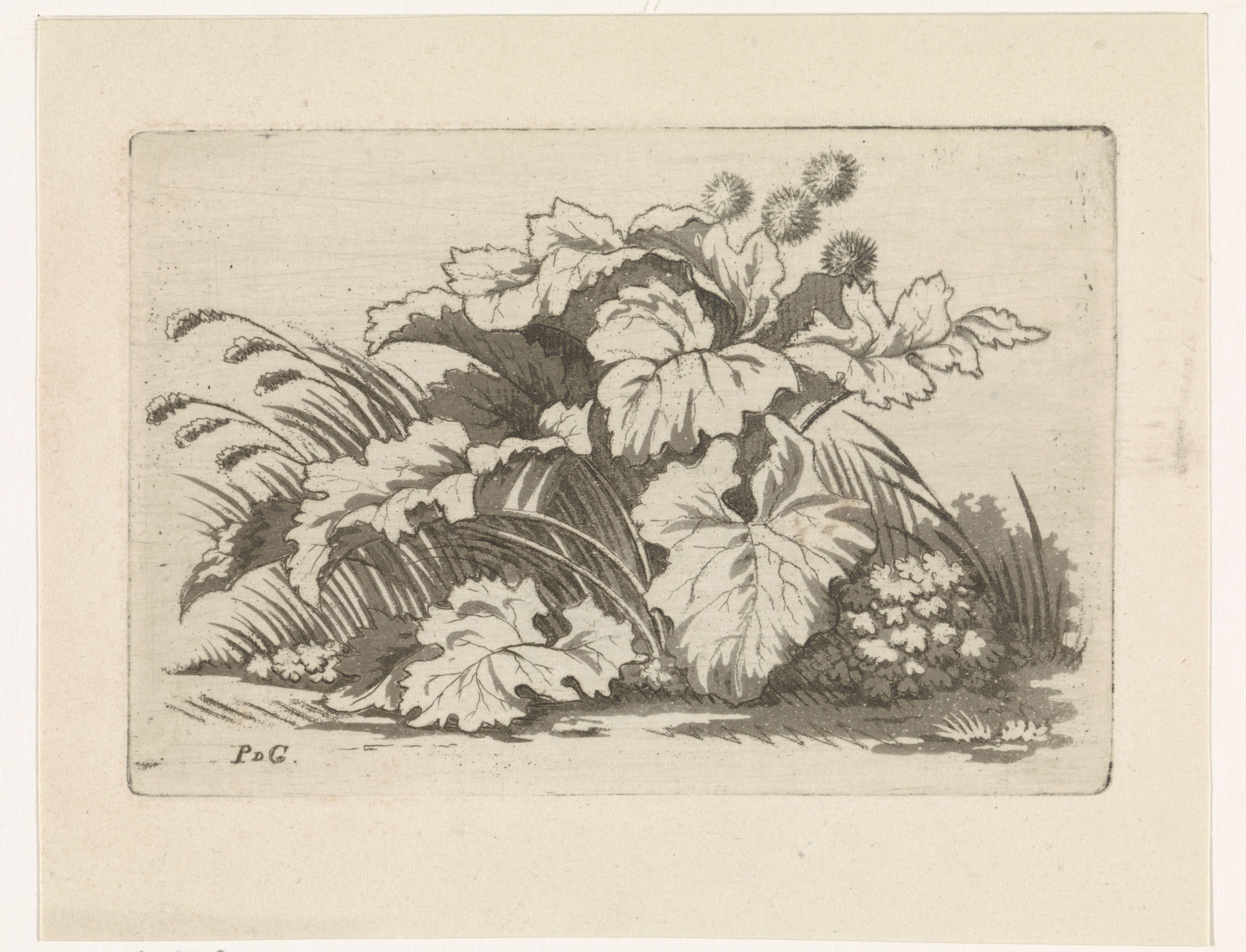 Groep bermplanten