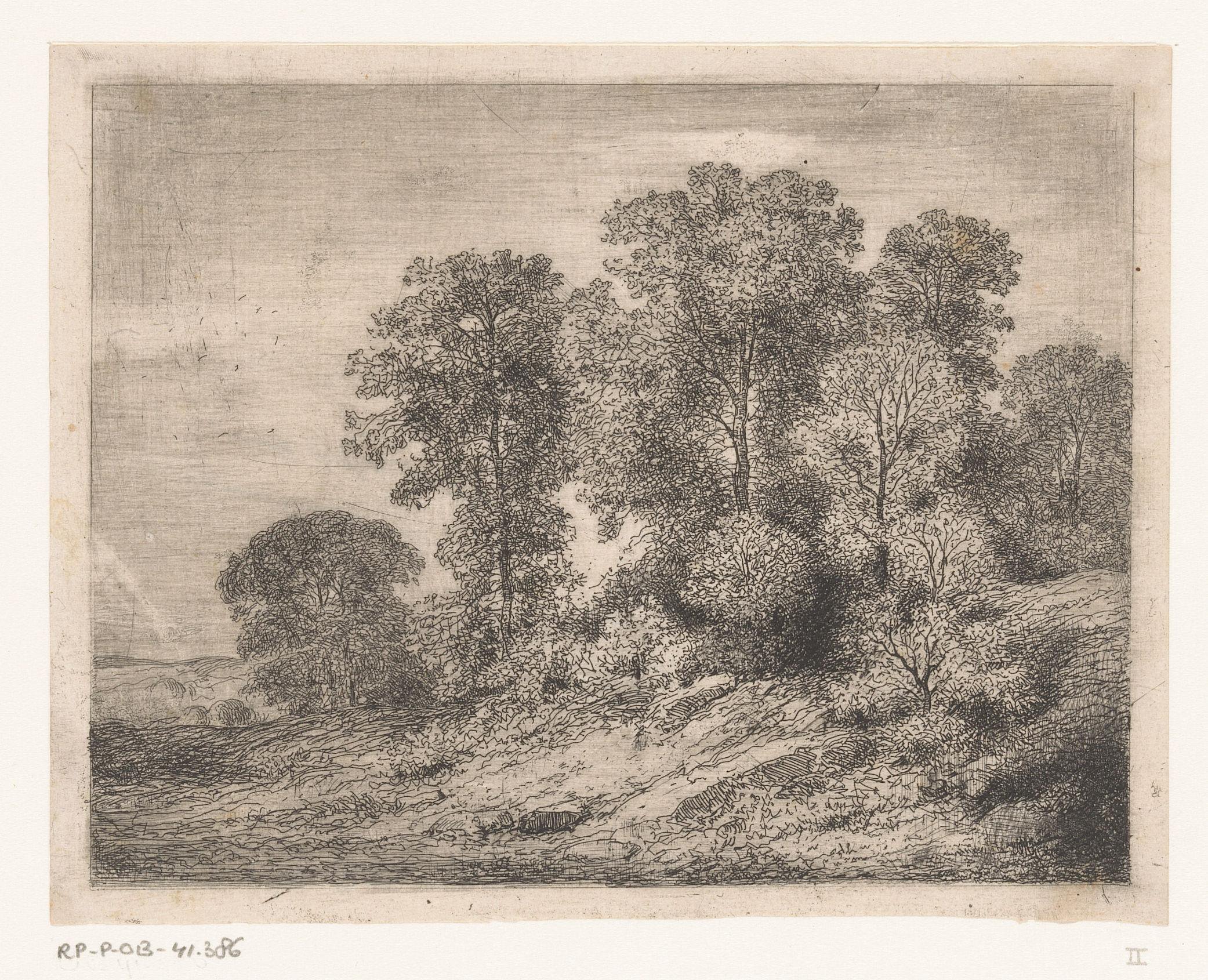 Bomen en struikgewas op een heuvel