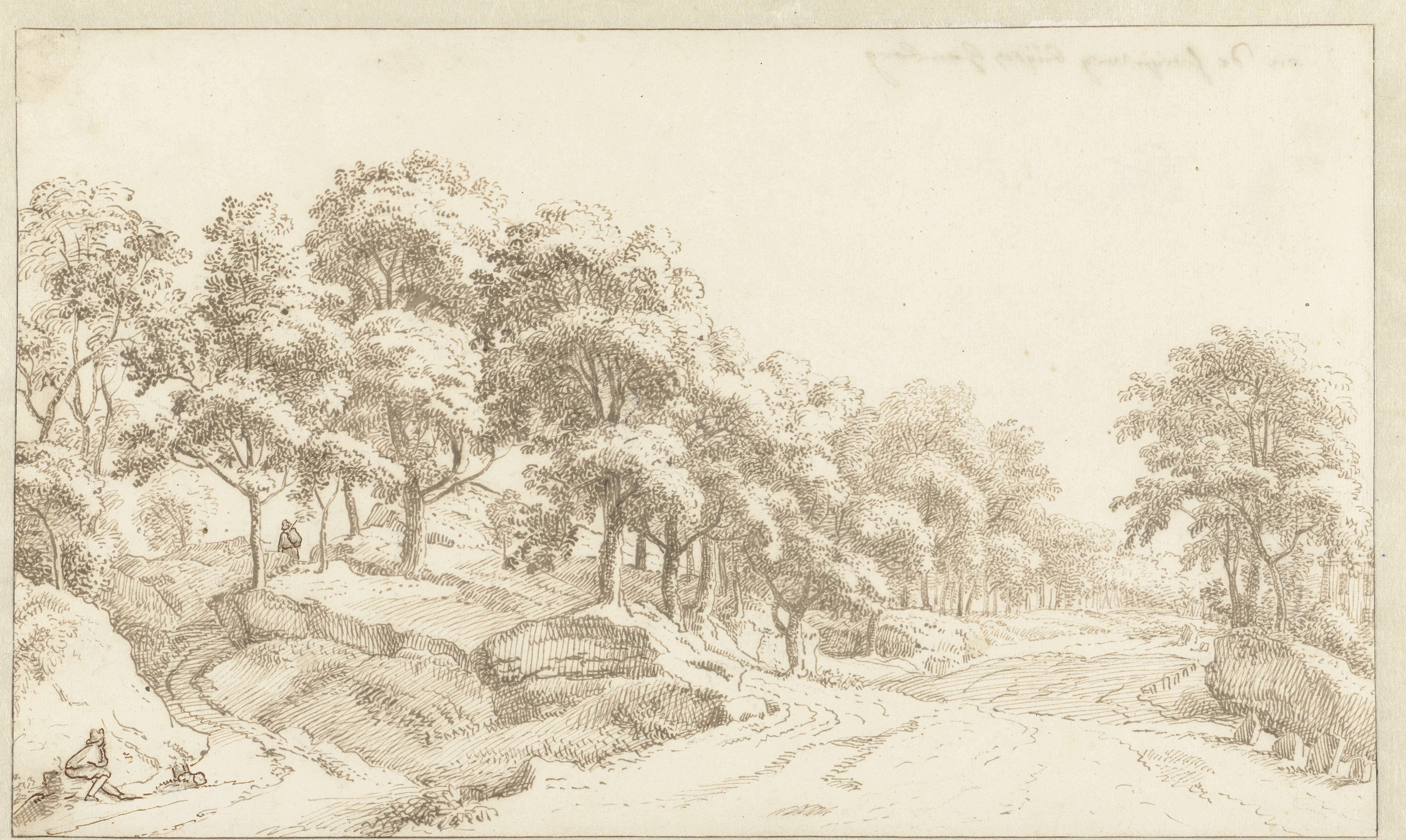Wooded Landscape along a Wide Road near Hamburg