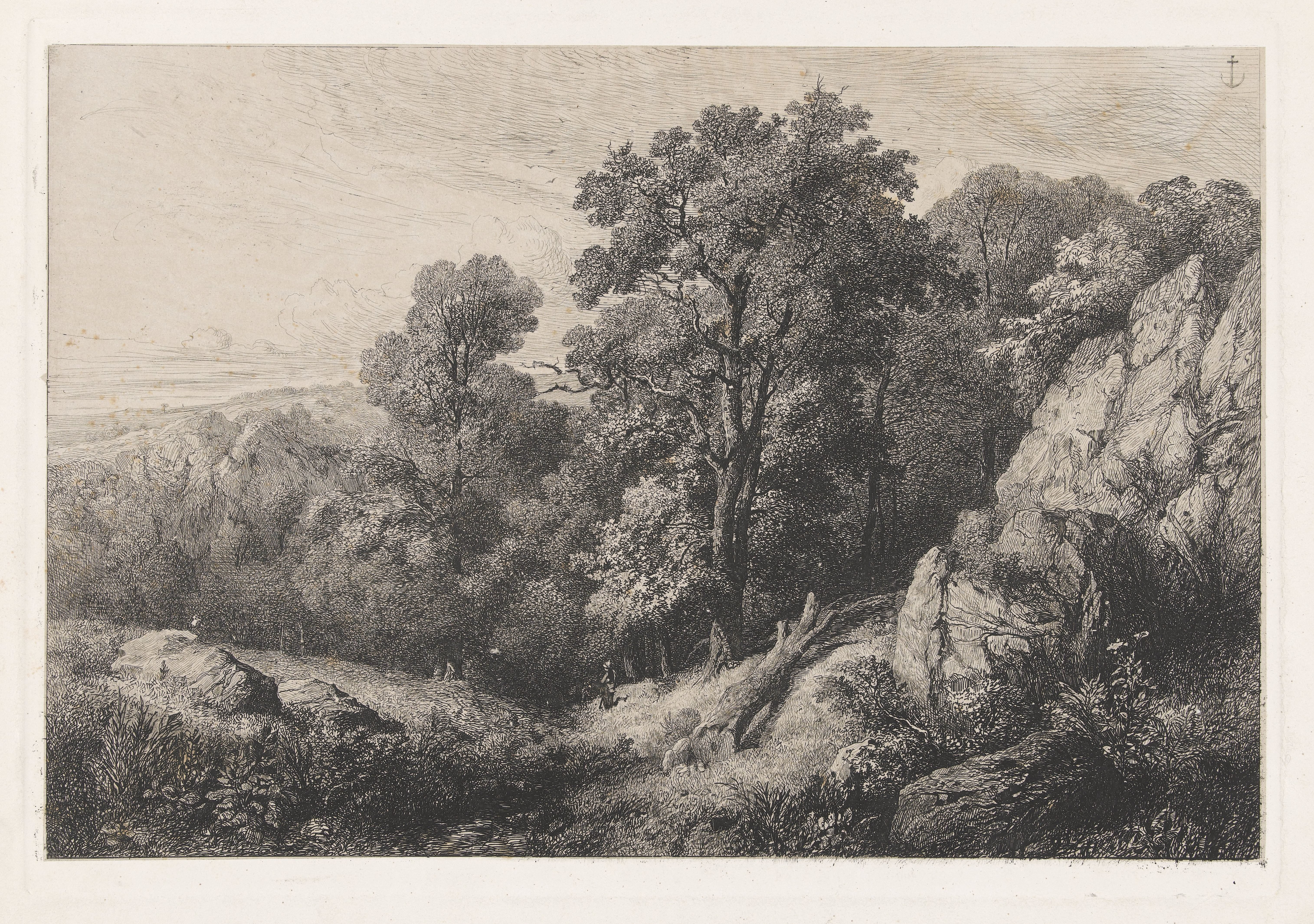 Heuvelachtig landschap met wandelaar