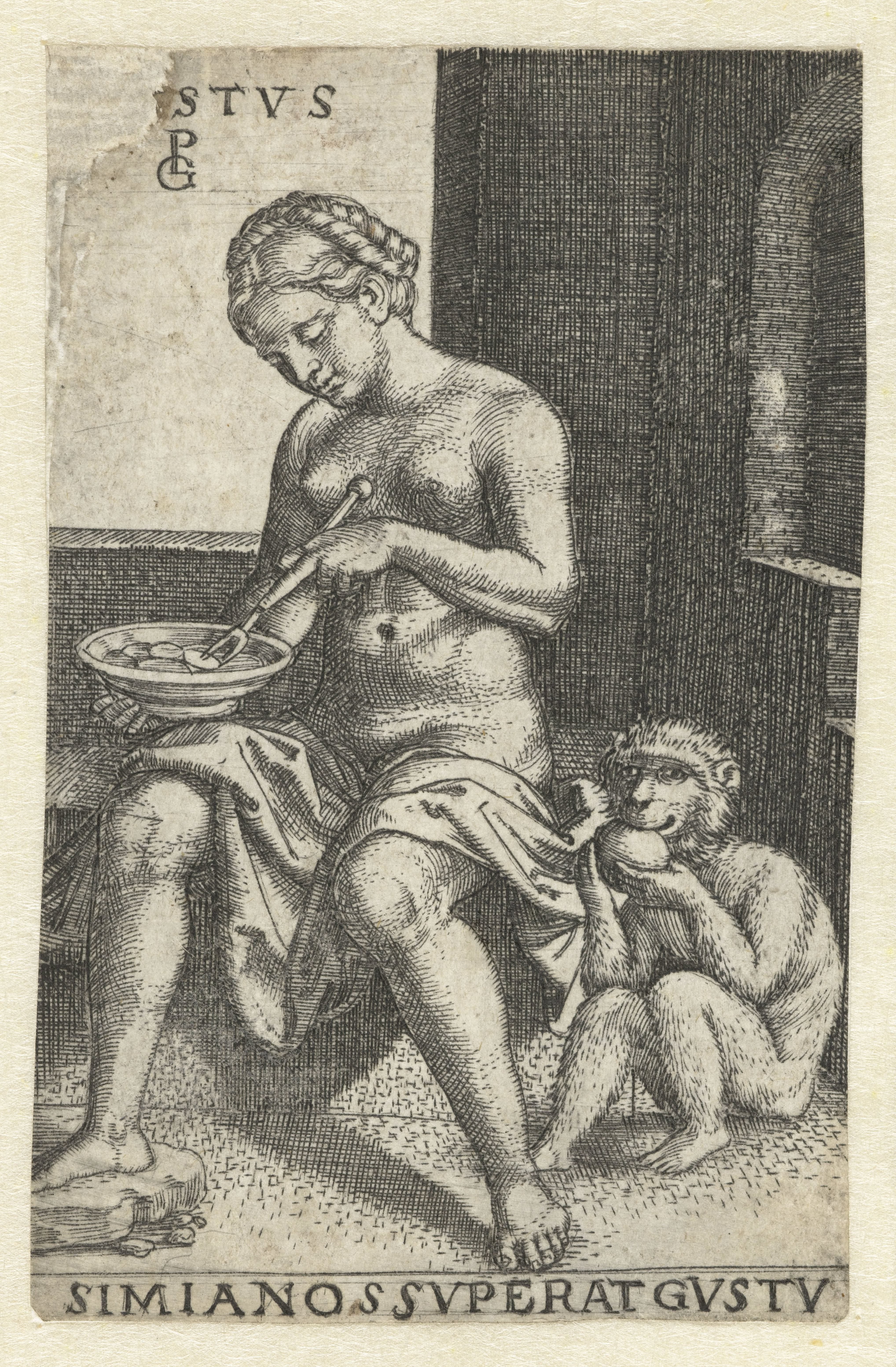 Smaak (Gustus)
