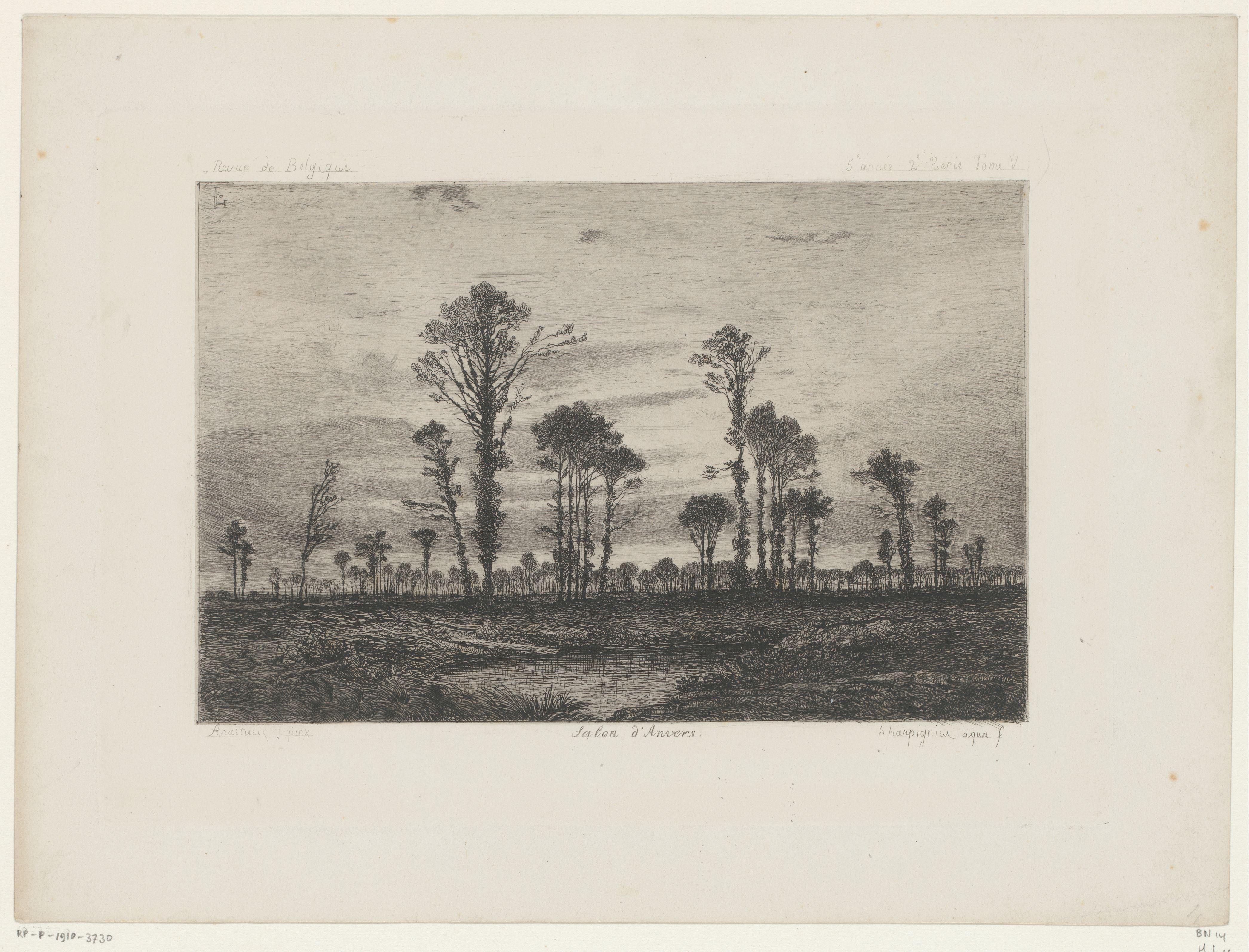 Landschap met hoge bomen en een vijver