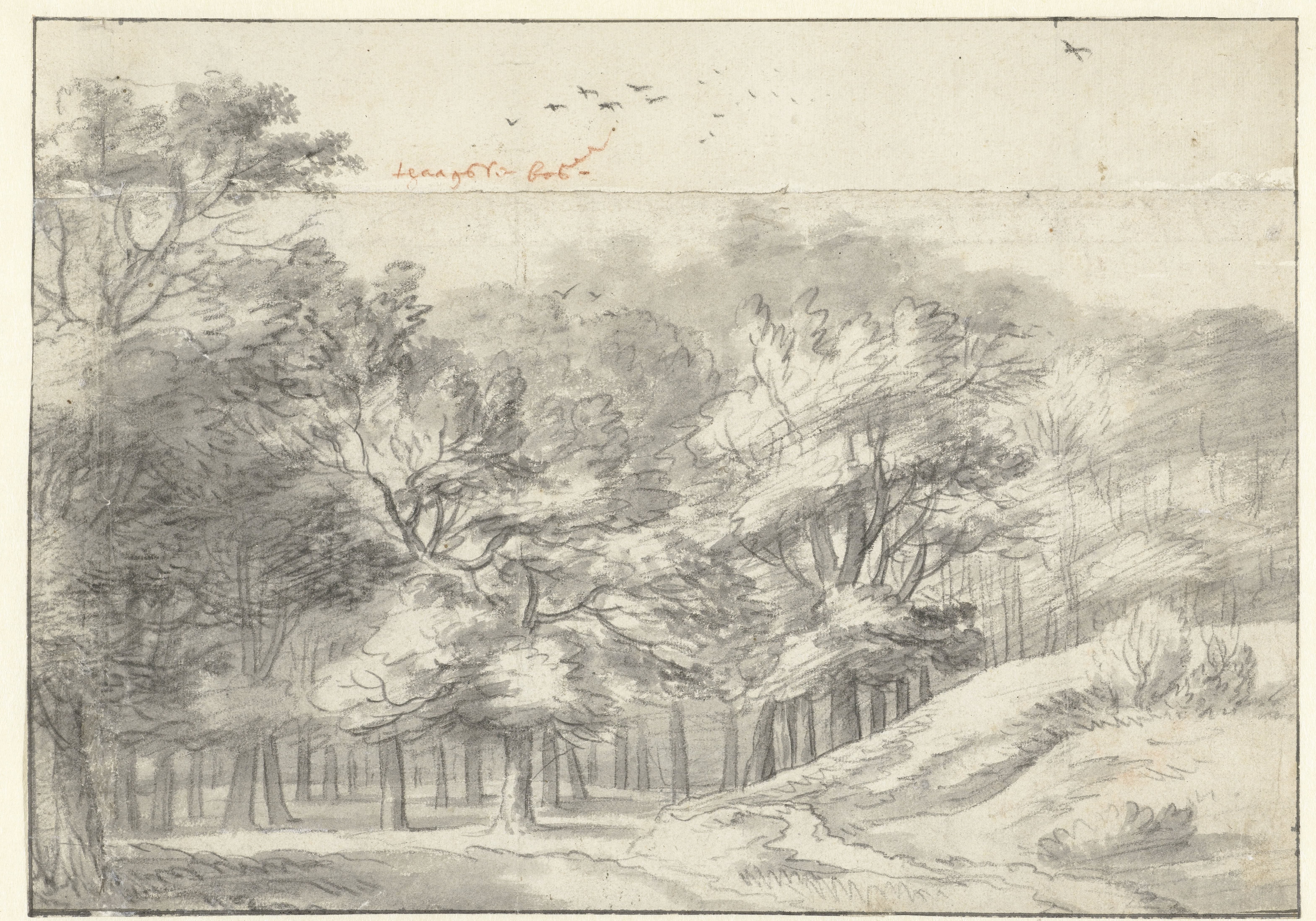 View in the Haagse Bos