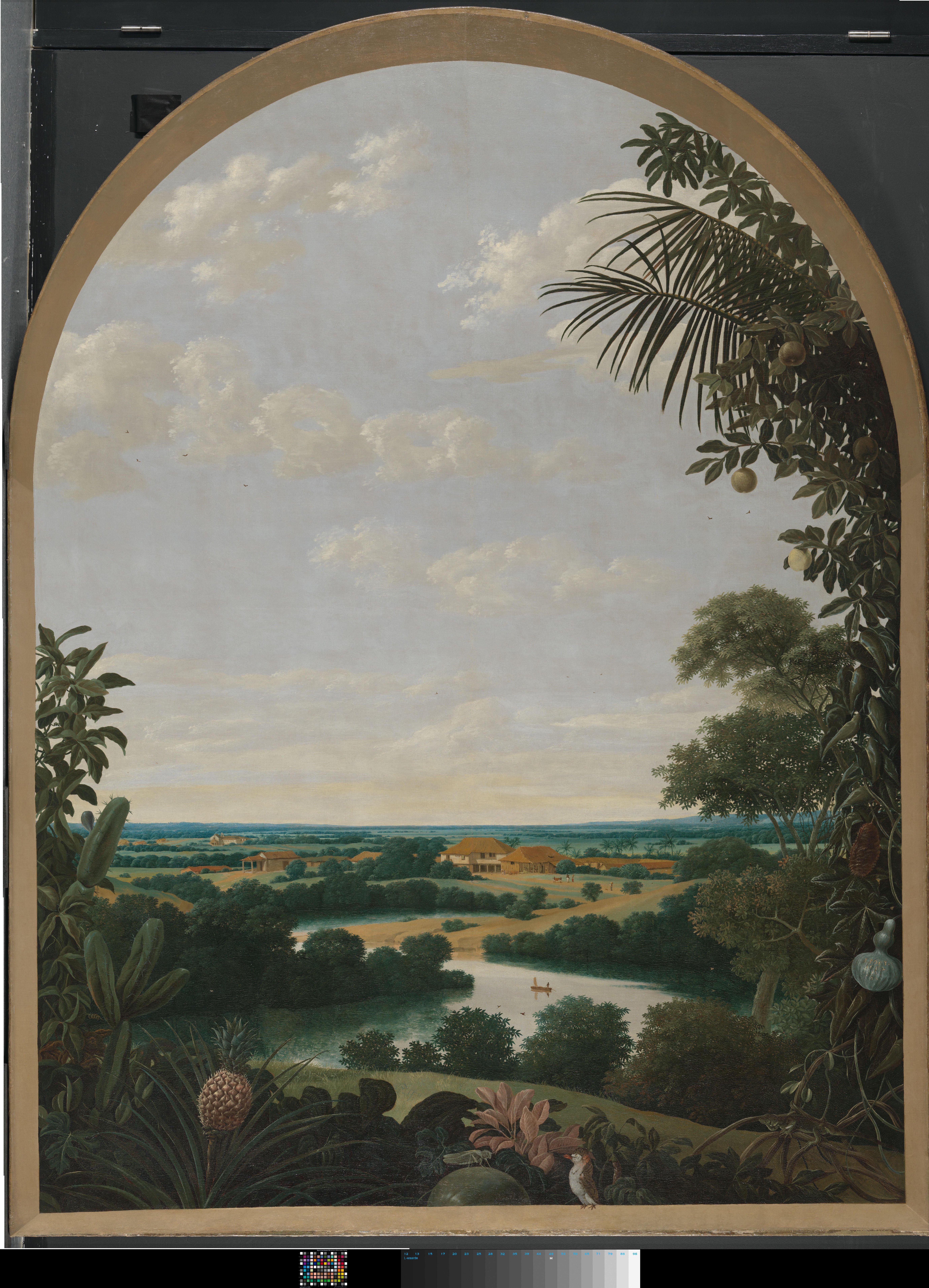 Landscape in Brazil