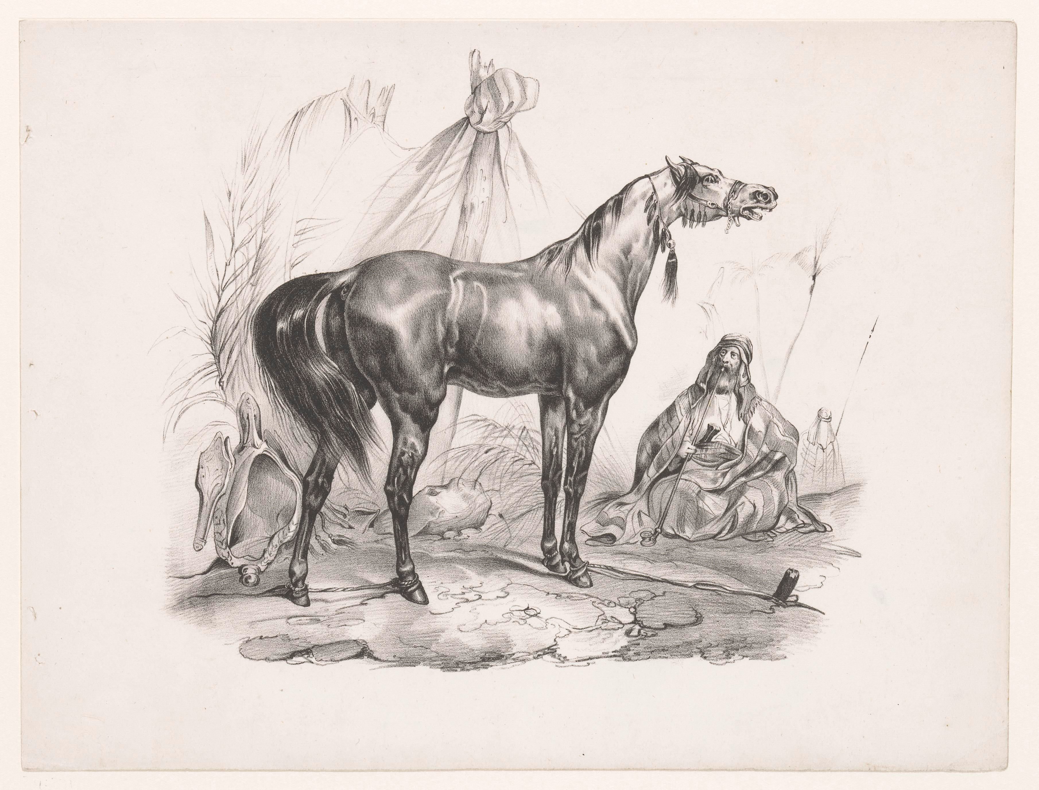 Arabisch paard