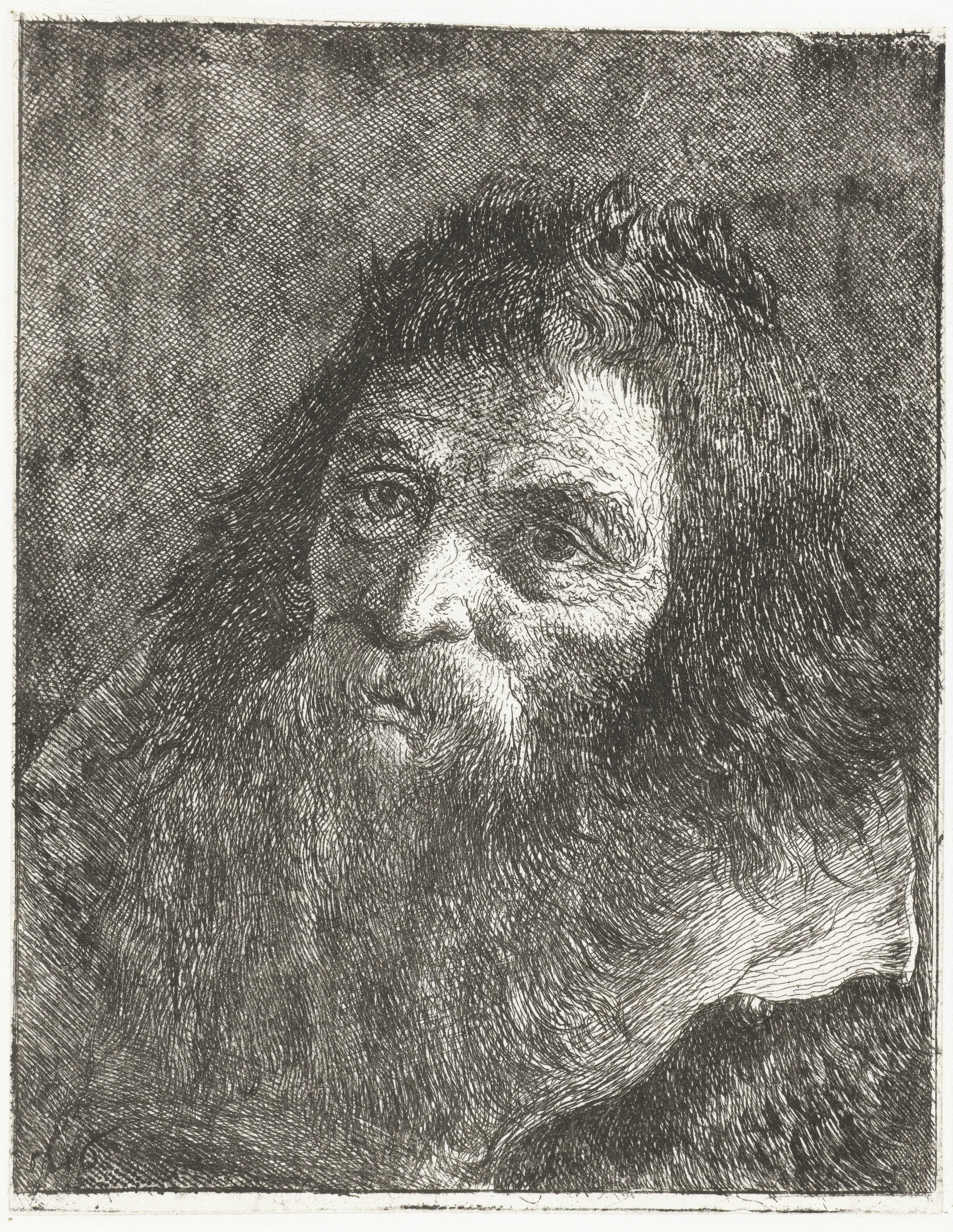Man met lang haar en baard
