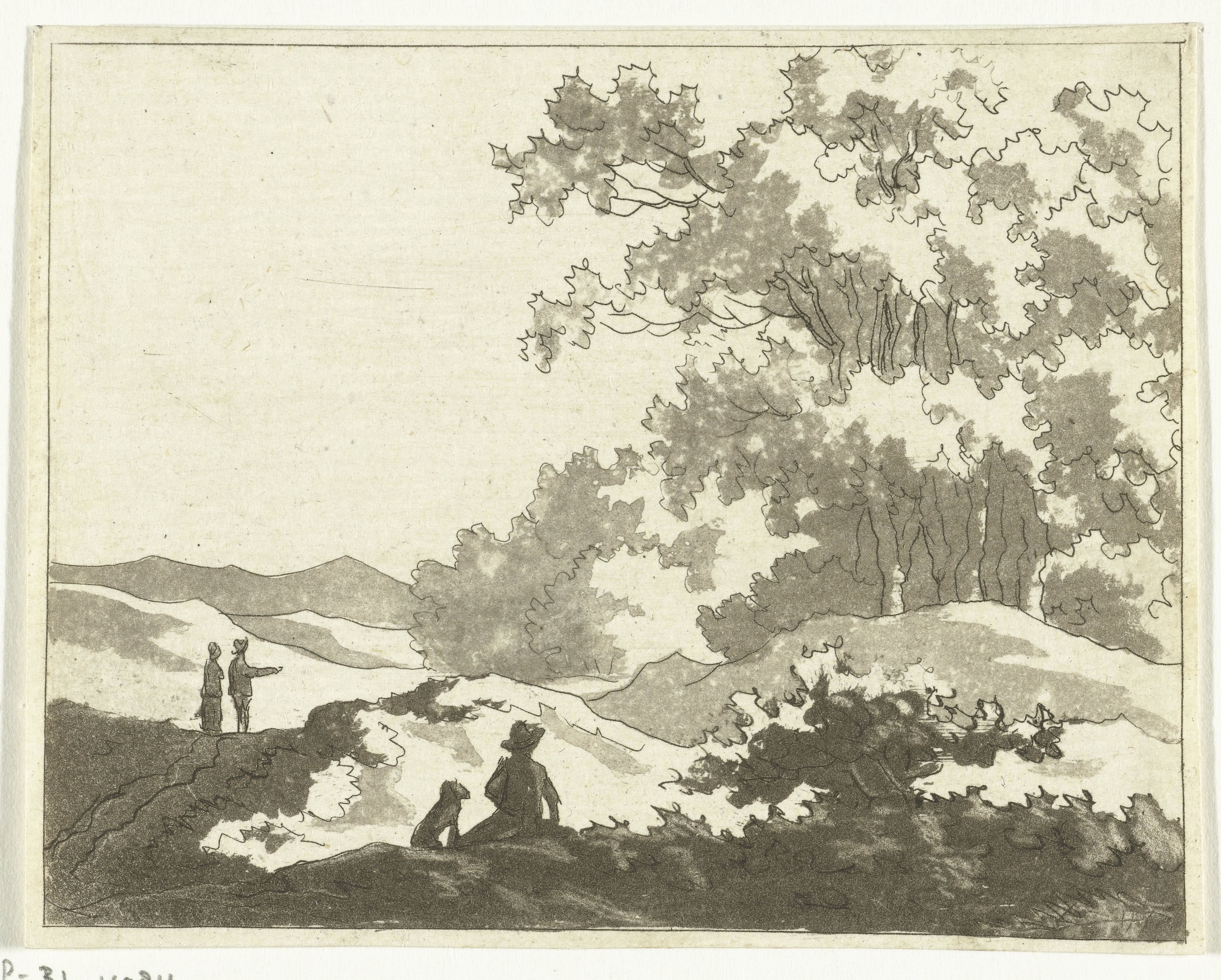 Duinlandschap