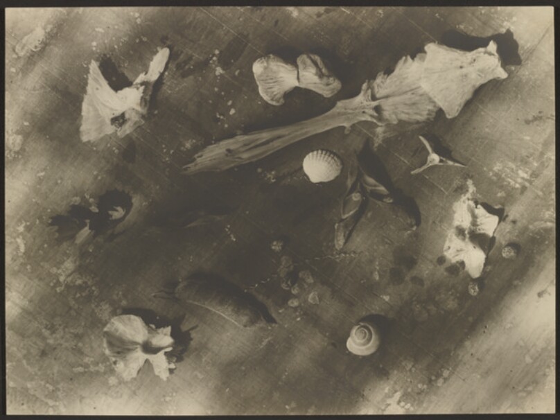 [Material Study]