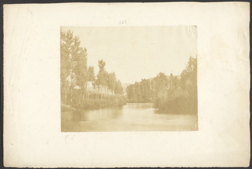 [Forest and lake]