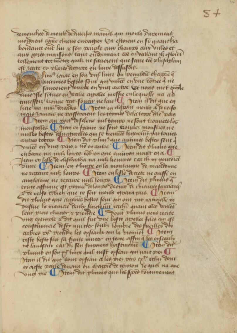 Historiated Initial P: Deer