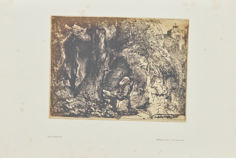 [Saint Francis praying beneath a tree]