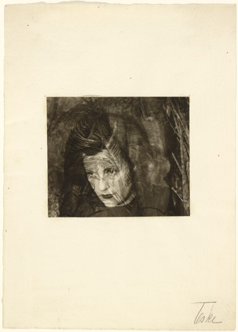 Jane Lawrence