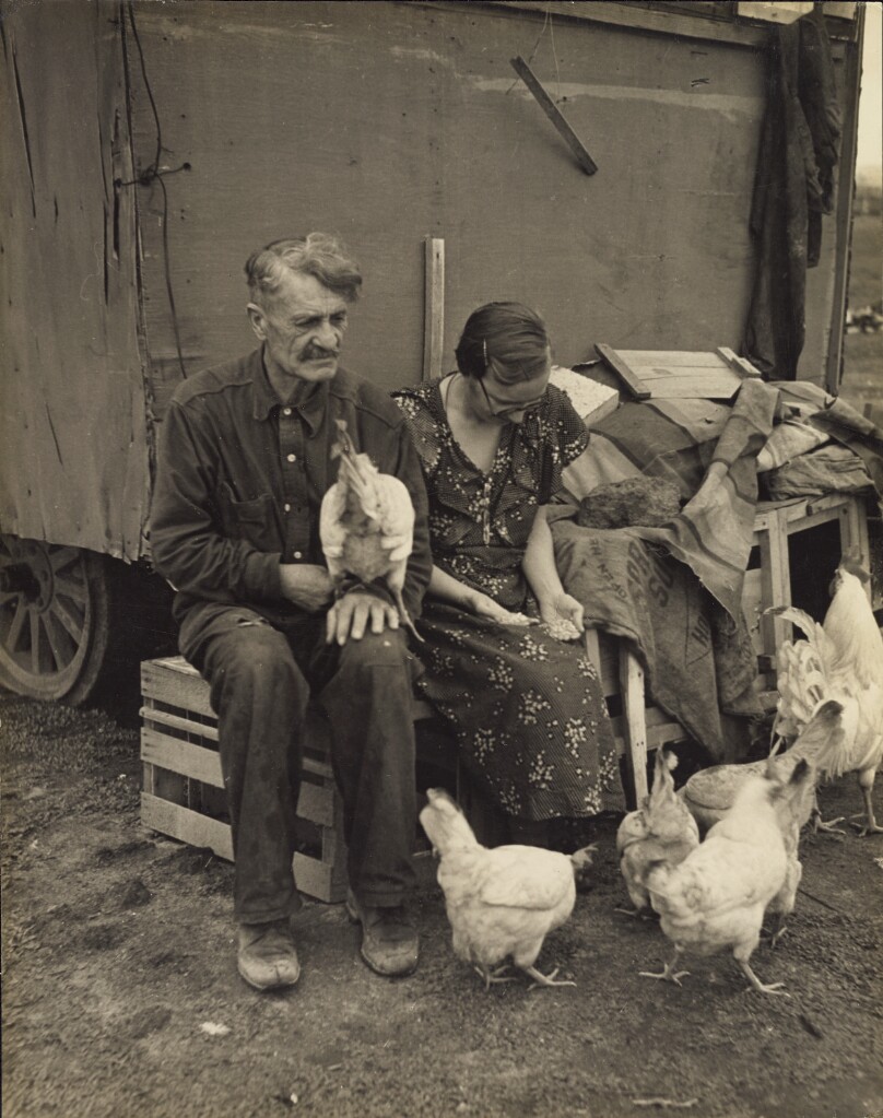 Man and Wife with Chickens, near Visalia, Tulare County, California