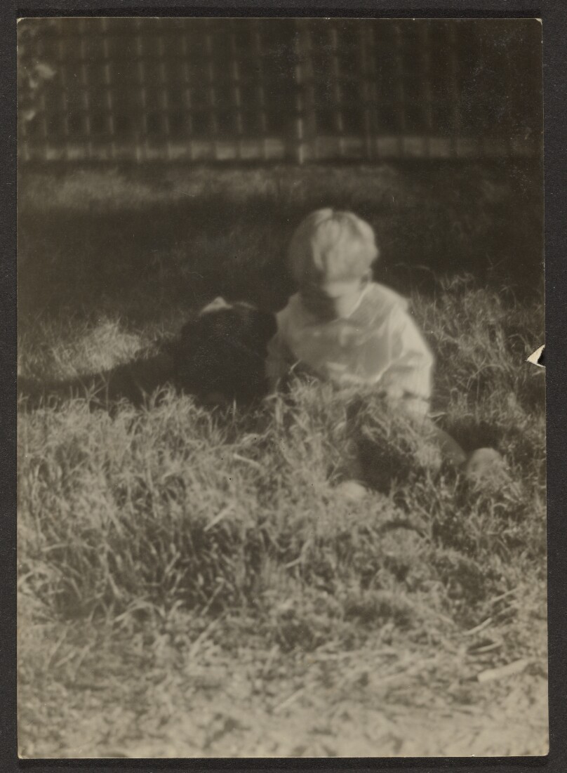 [Baby in Grass with Dog]