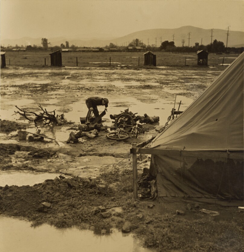 Chopping Wood in Camp, near Visalia, Tulare County, California