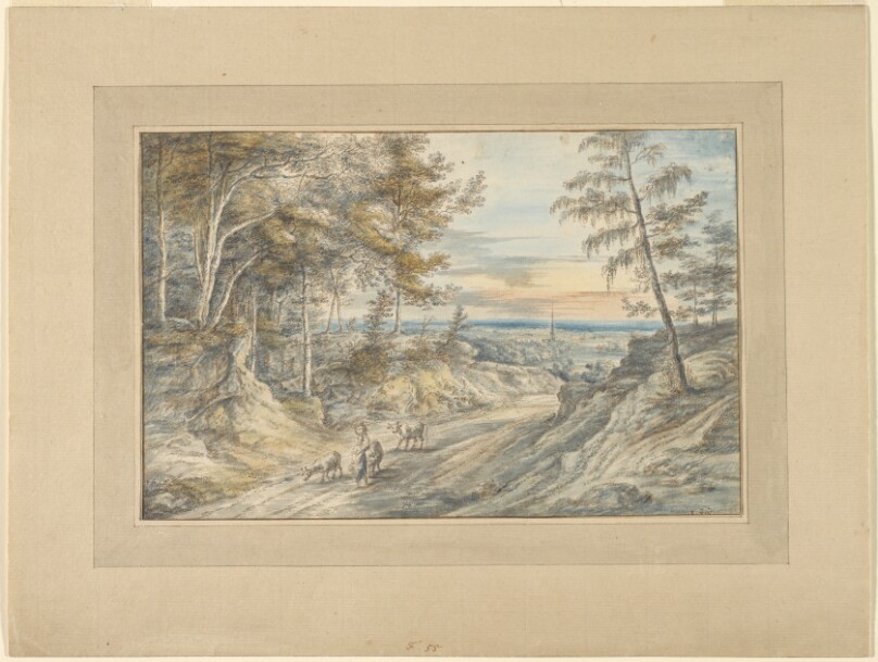 Forest Road at Evening