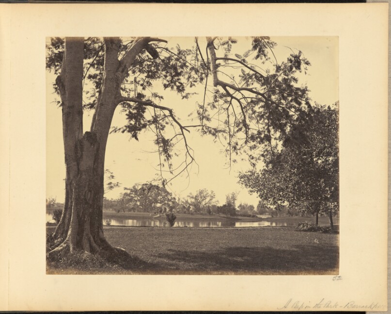 A Peep in the Park - Barrackpore