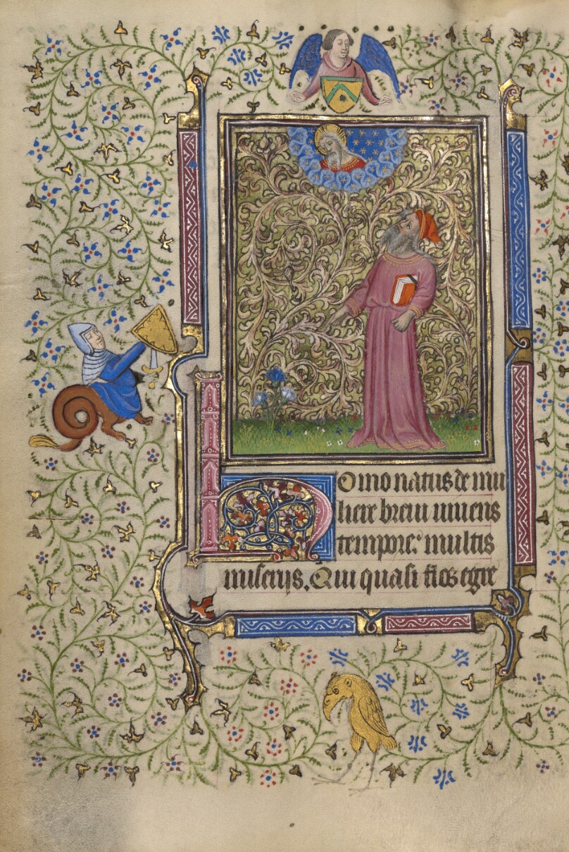 Job Pointing to a Blooming Shrub