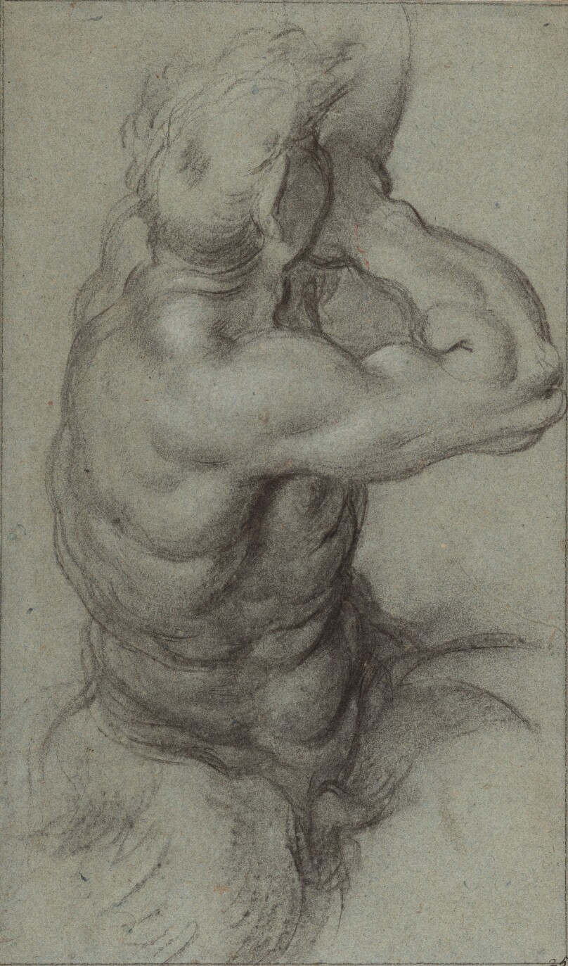 Study of Triton Blowing a Conch Shell (recto); Partial Study of an Arm (verso)