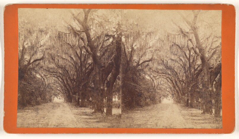 Bonaventure.