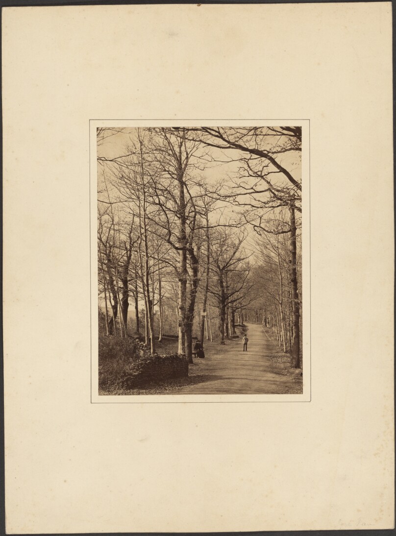 [Parc Pau]