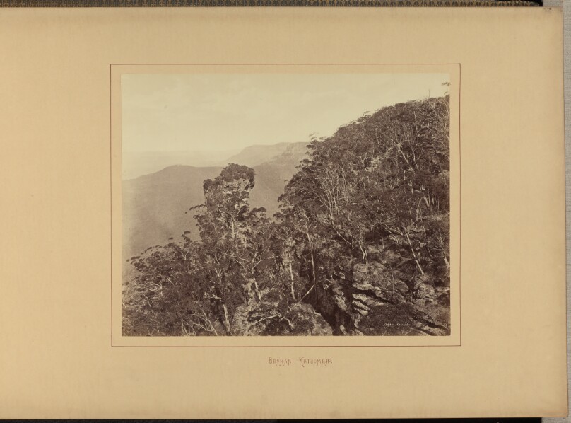 Orphan. Katoomba