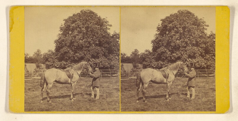 [Man in top hat holding a horse by its reigns within fenced area]