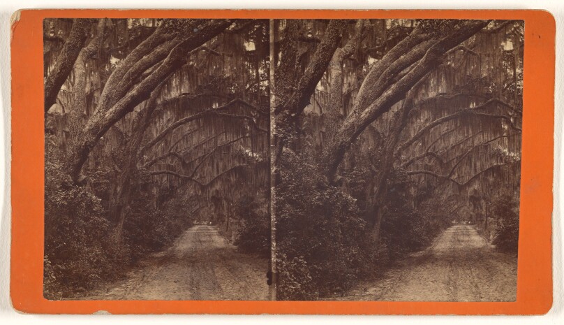 Bonaventure.