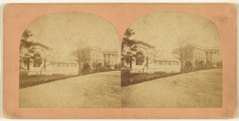 The President's House