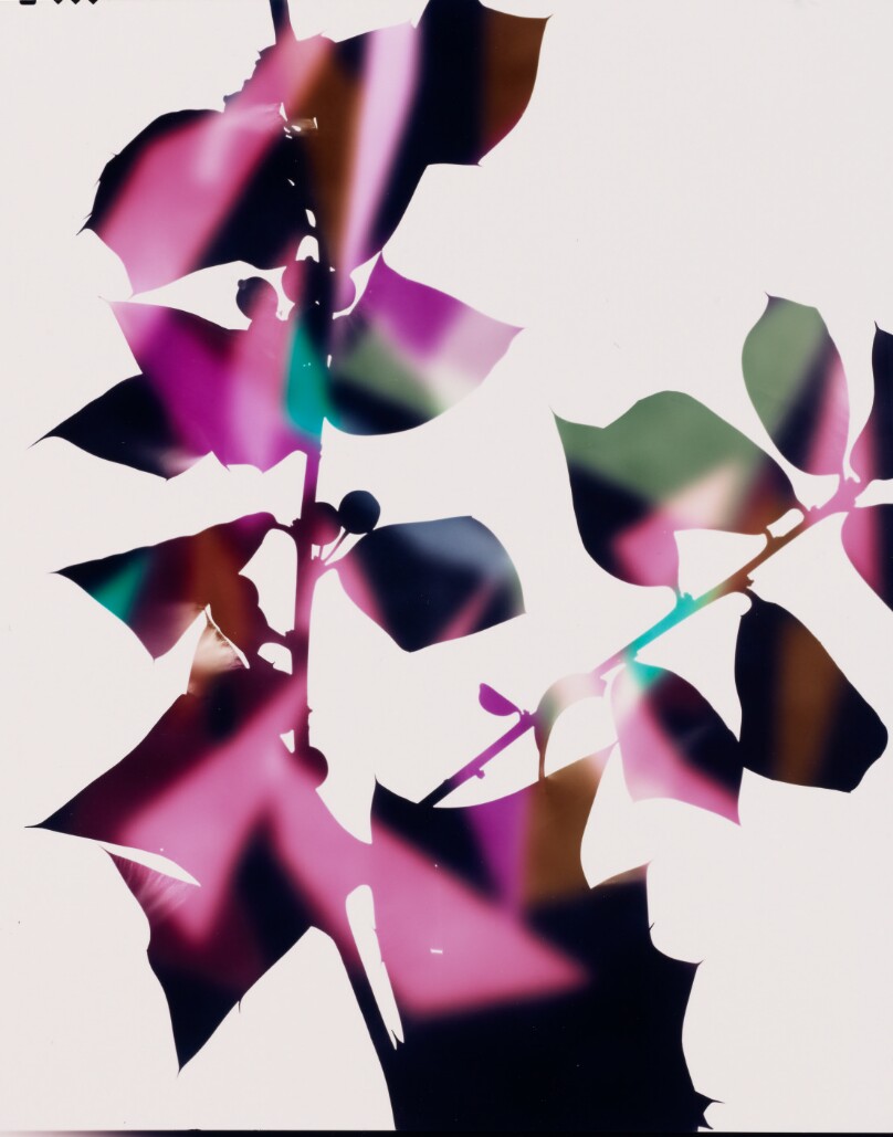 James Welling