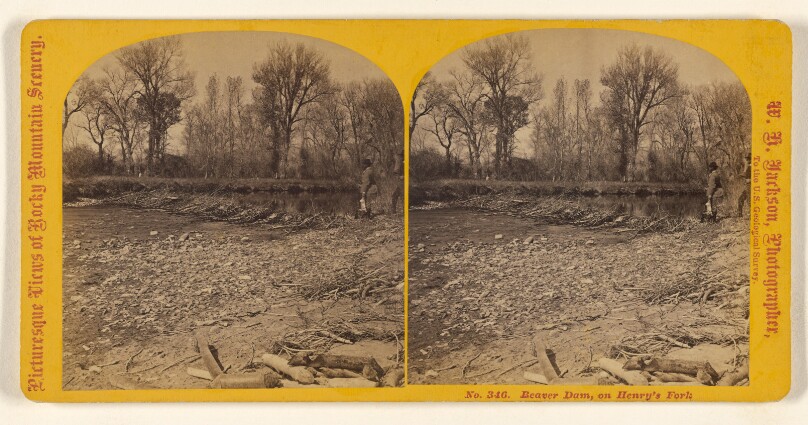 Beaver Dam, or Henry's Fork.