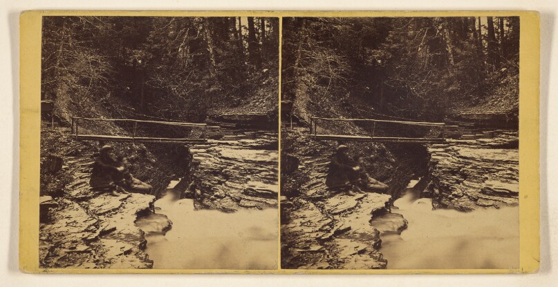 Glen Scenery, Views in Freer's Glen at Watkins, Schuyler Co., N.Y. Rustic Bridge, looking down, - 2nd Glen.