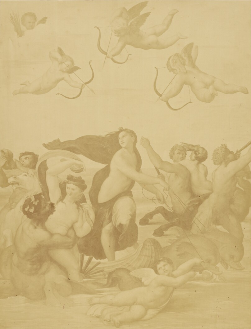 [Reproduction of Galatea by Raphaël]
