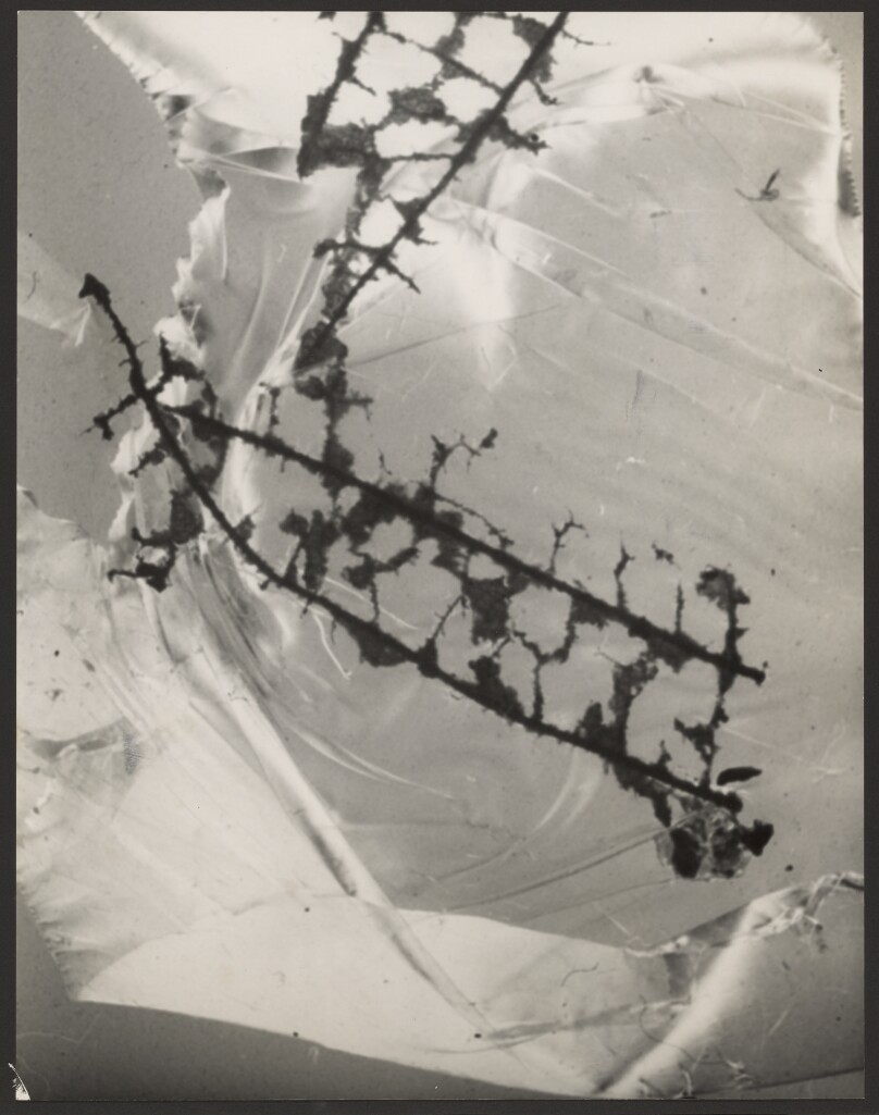 [Jacob's Ladder]